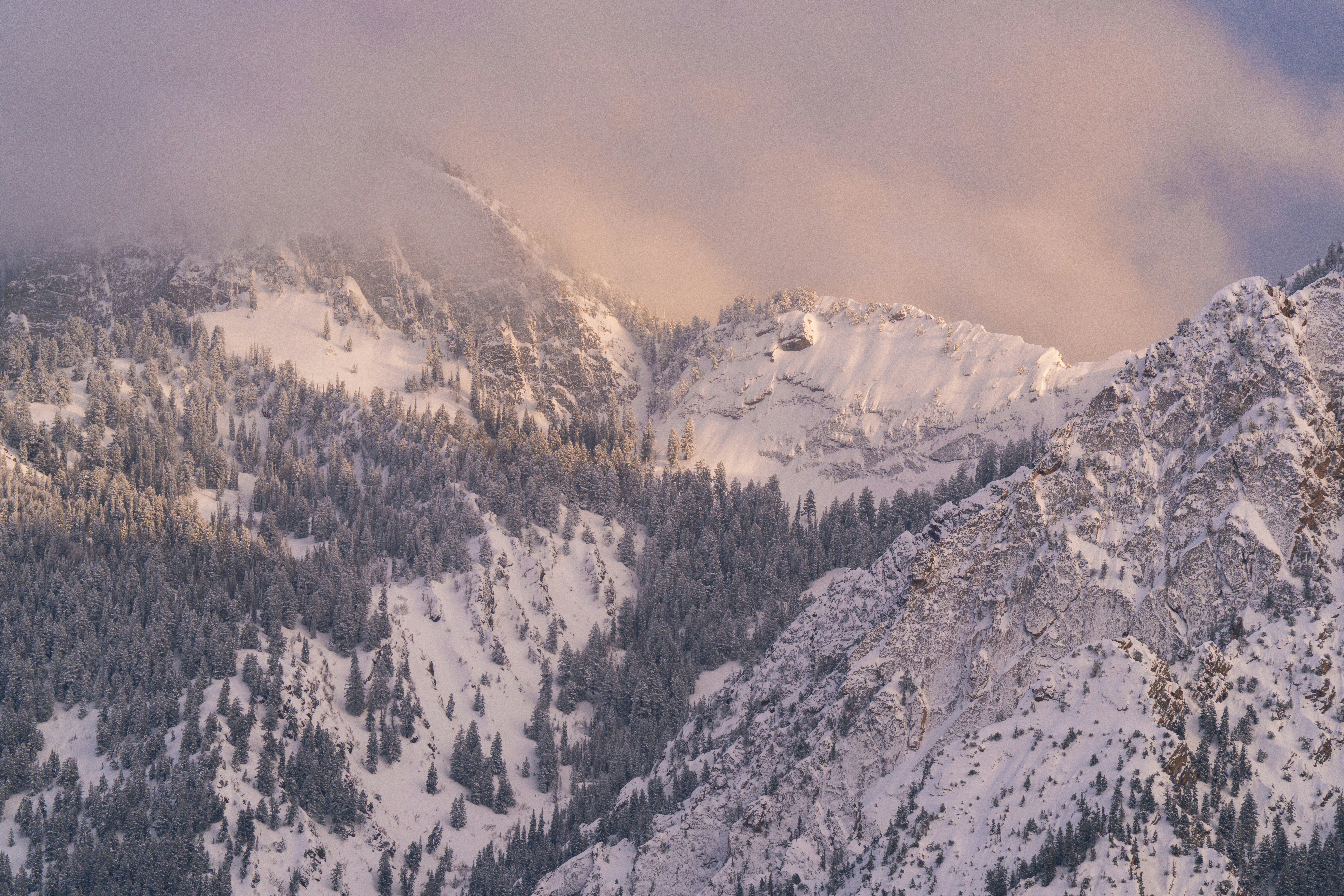 Photo by alexmoliski