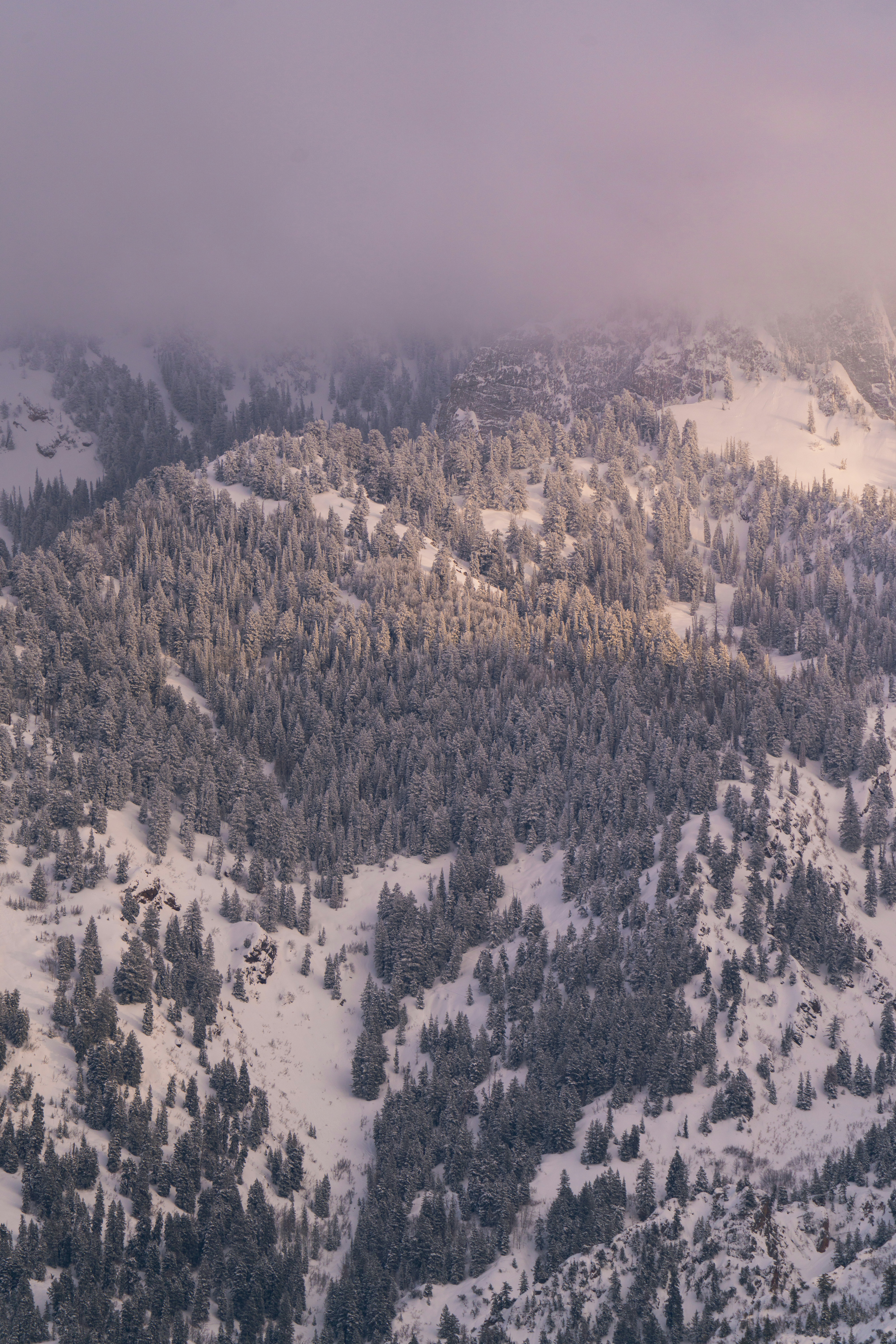 Photo by alexmoliski