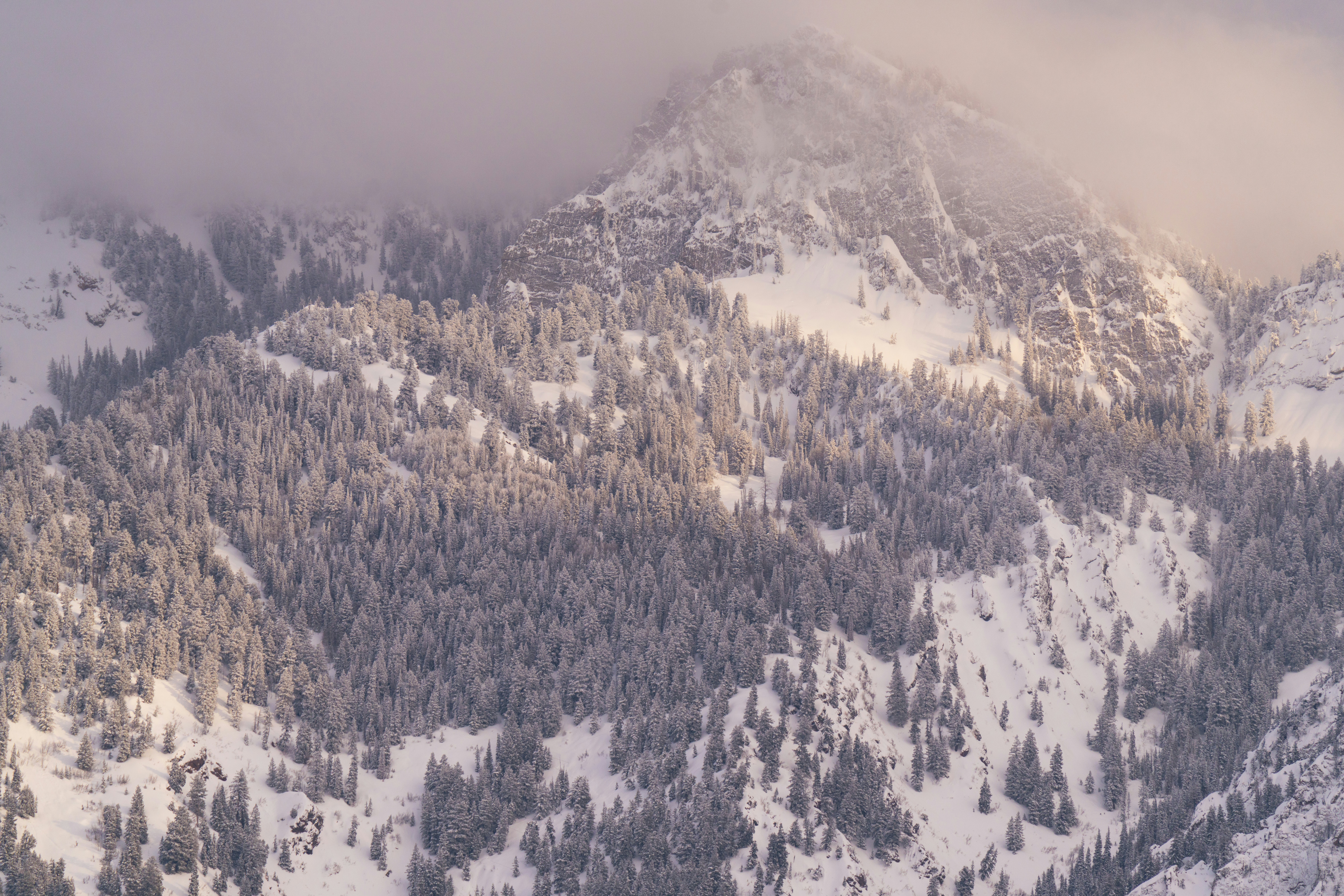 Photo by alexmoliski