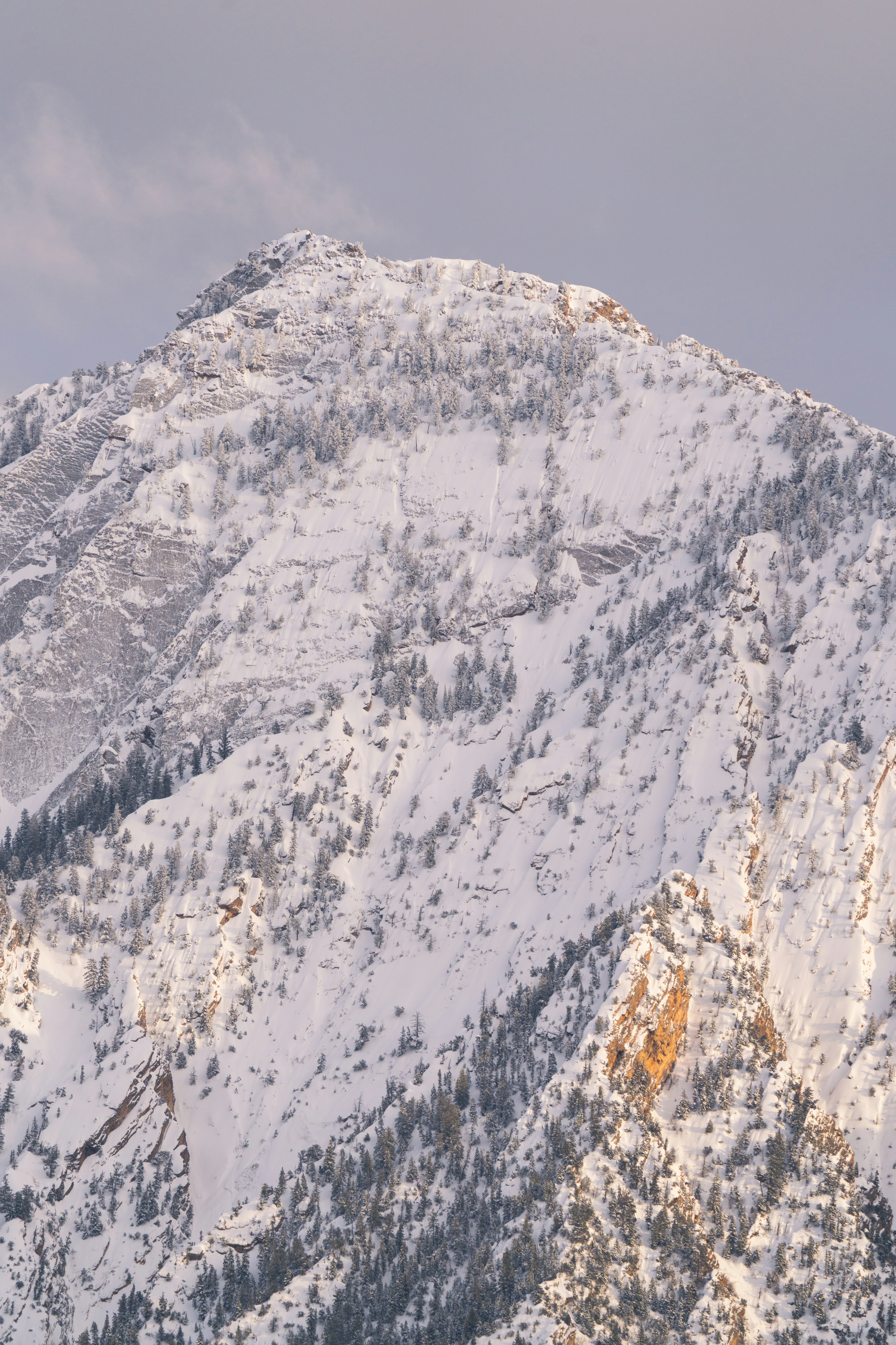 Photo by alexmoliski