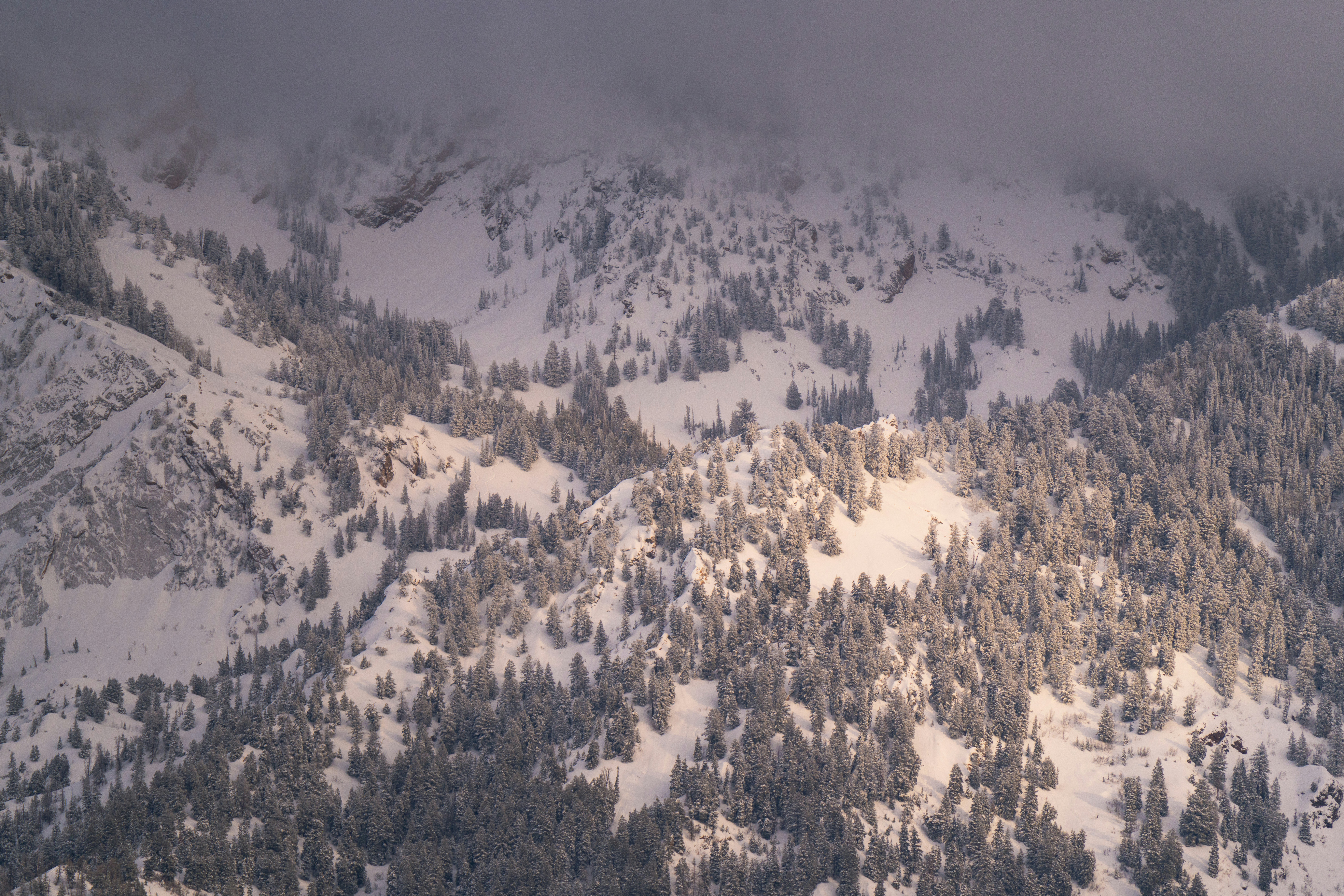 Photo by alexmoliski