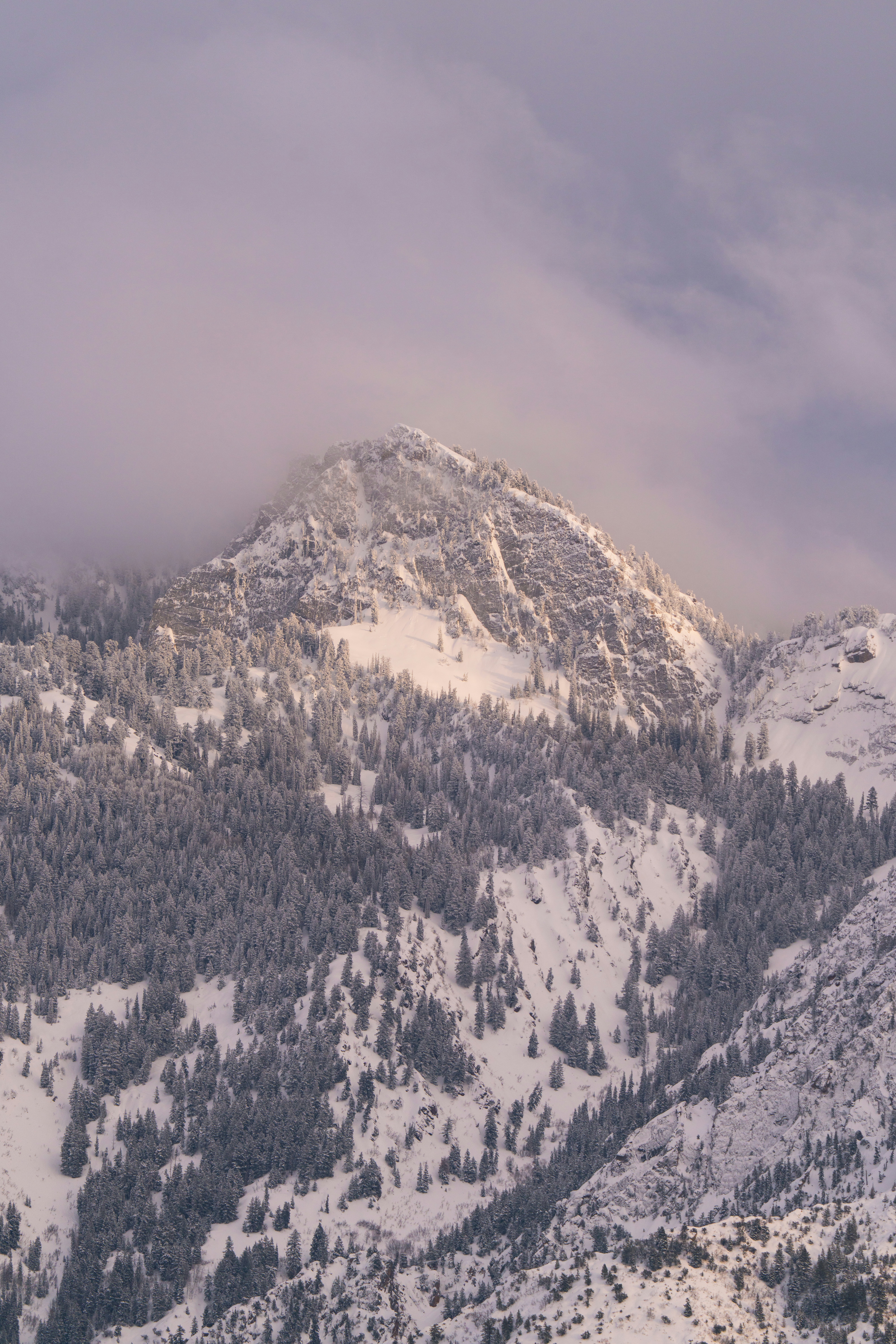 Photo by alexmoliski