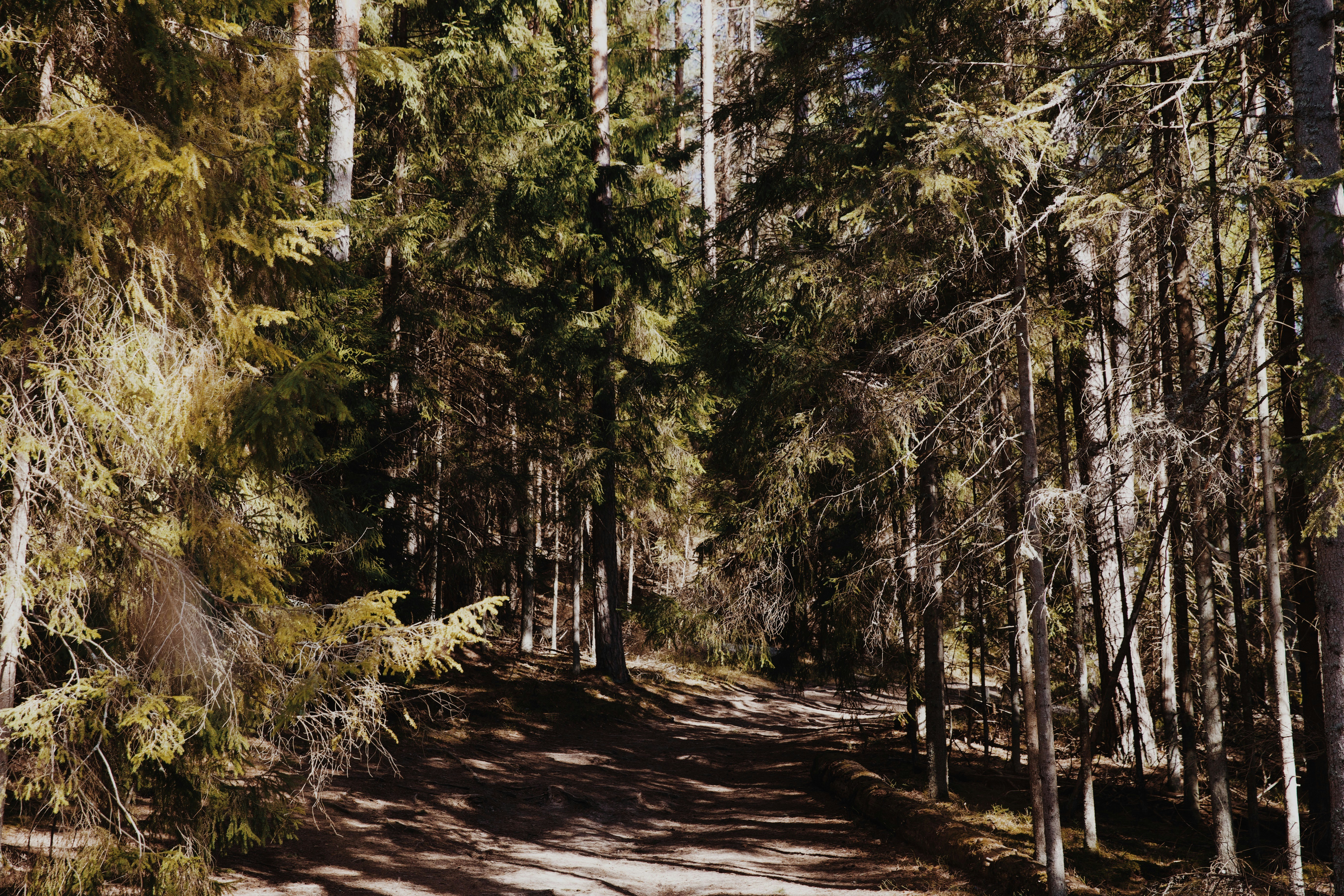 Photo by jo_negatives