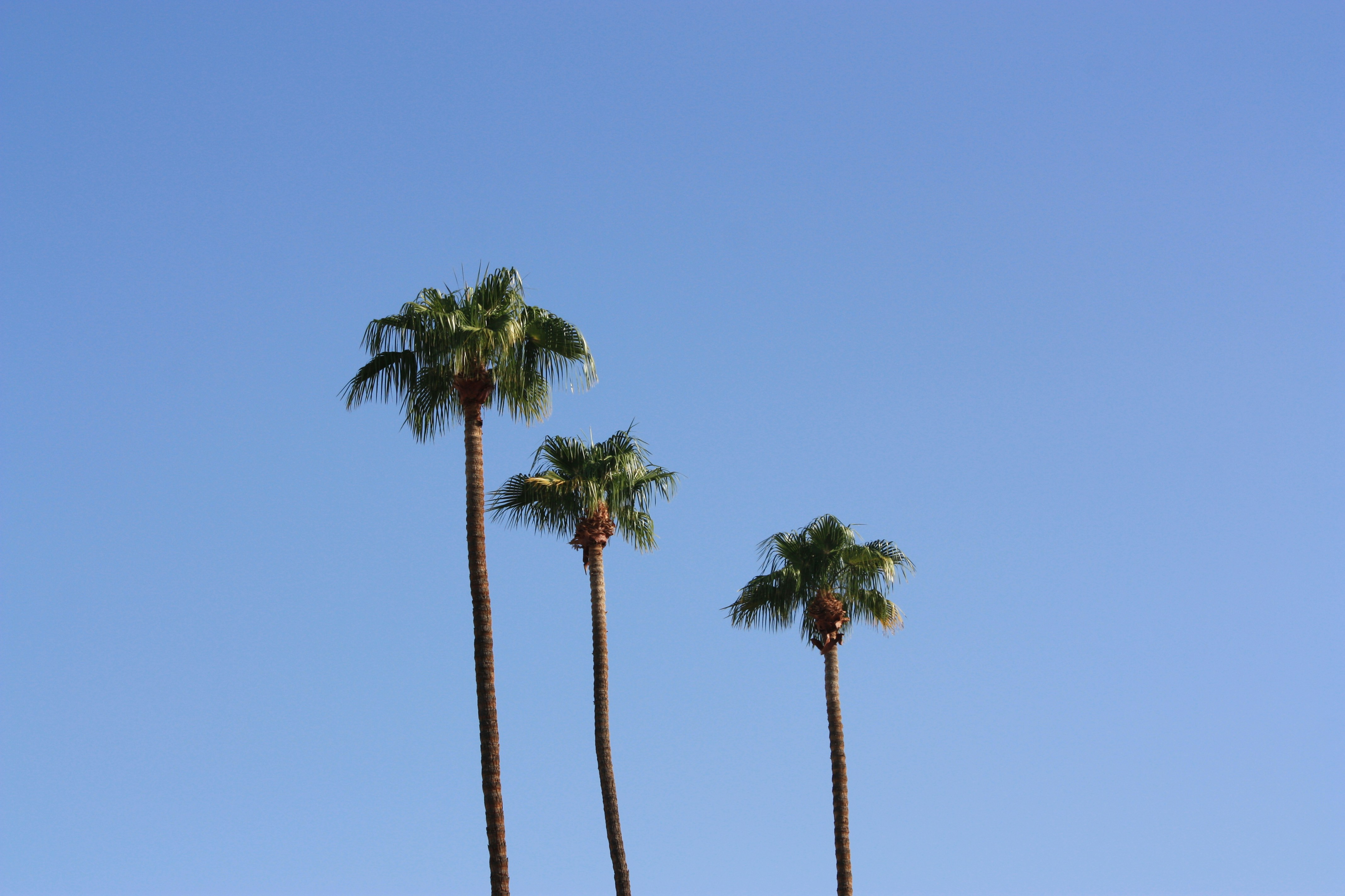 Photo by remi_wigzell