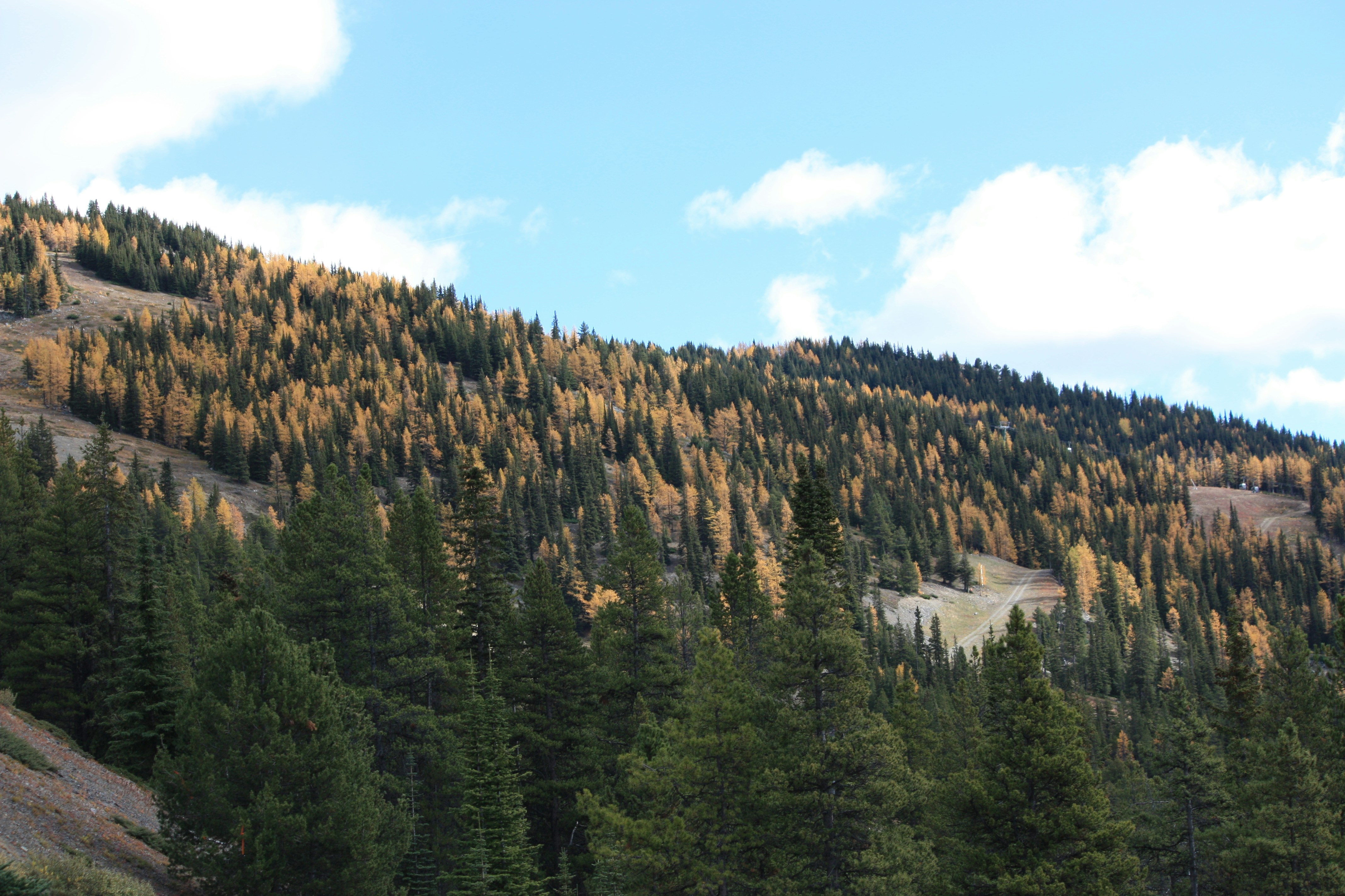 Photo by remi_wigzell