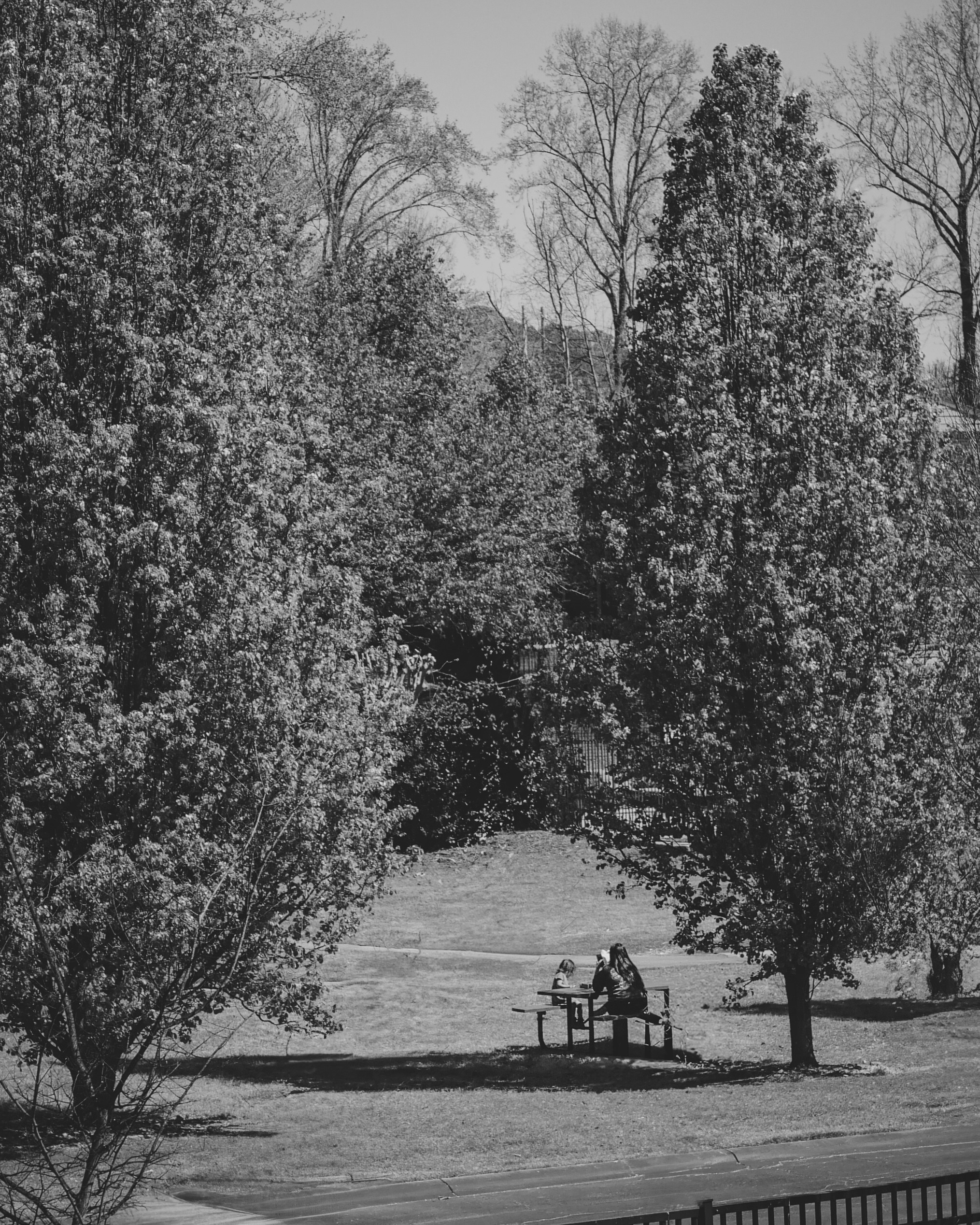 Photo by _zash_capturing