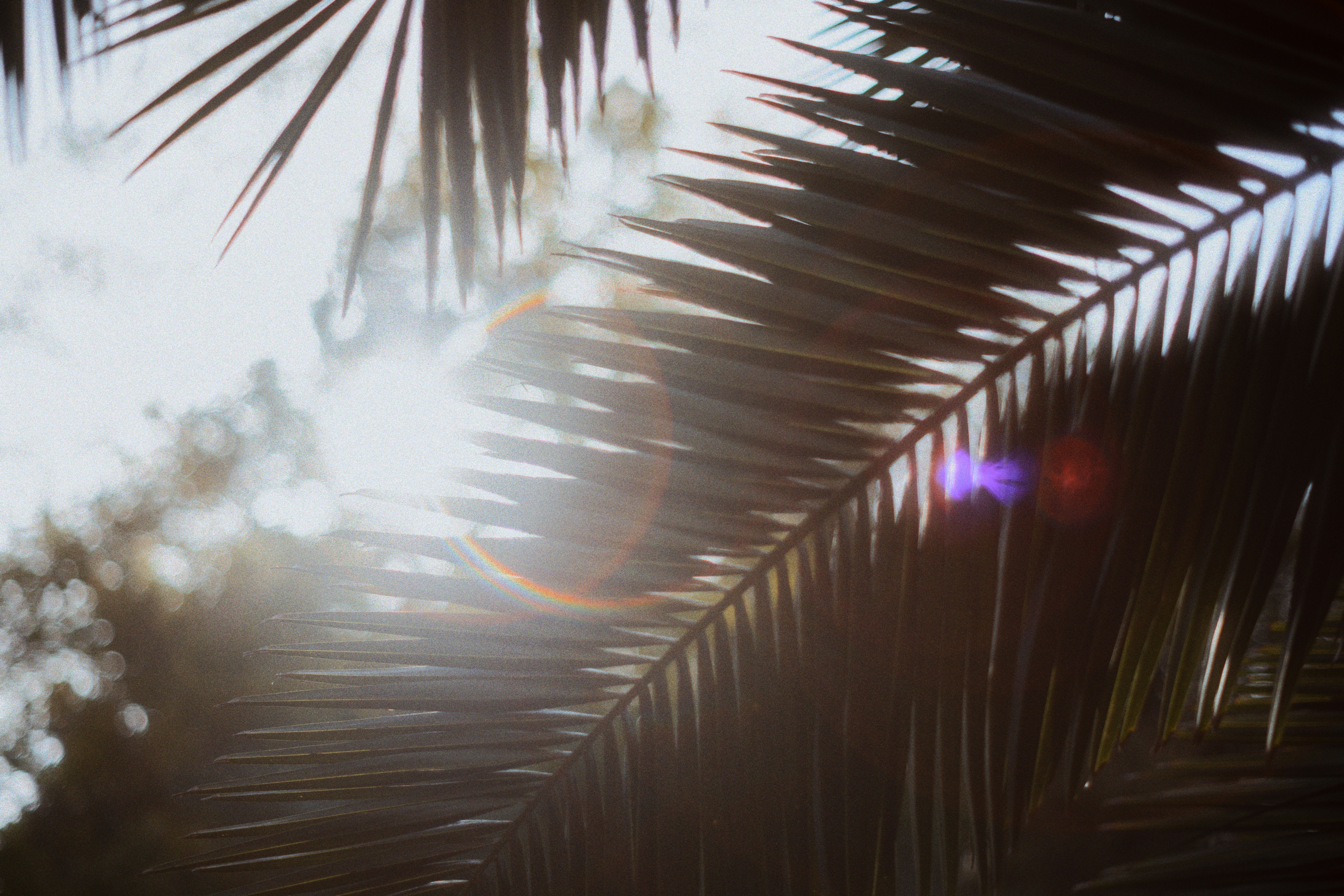 How Safe Is LASIK Eye Treatment? A Check Out Success Rates And Negative Effects