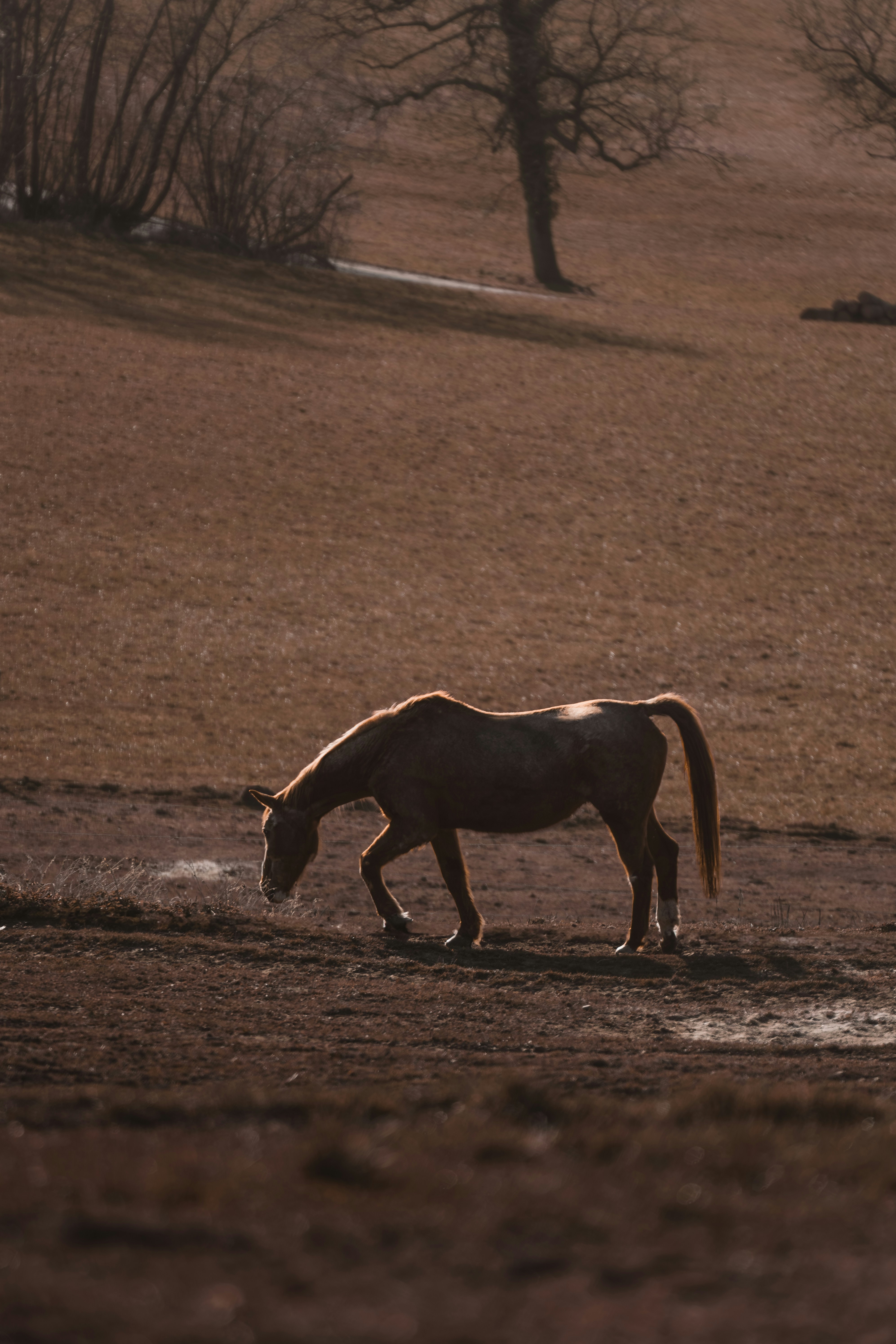 Photo by ahmetyuksek