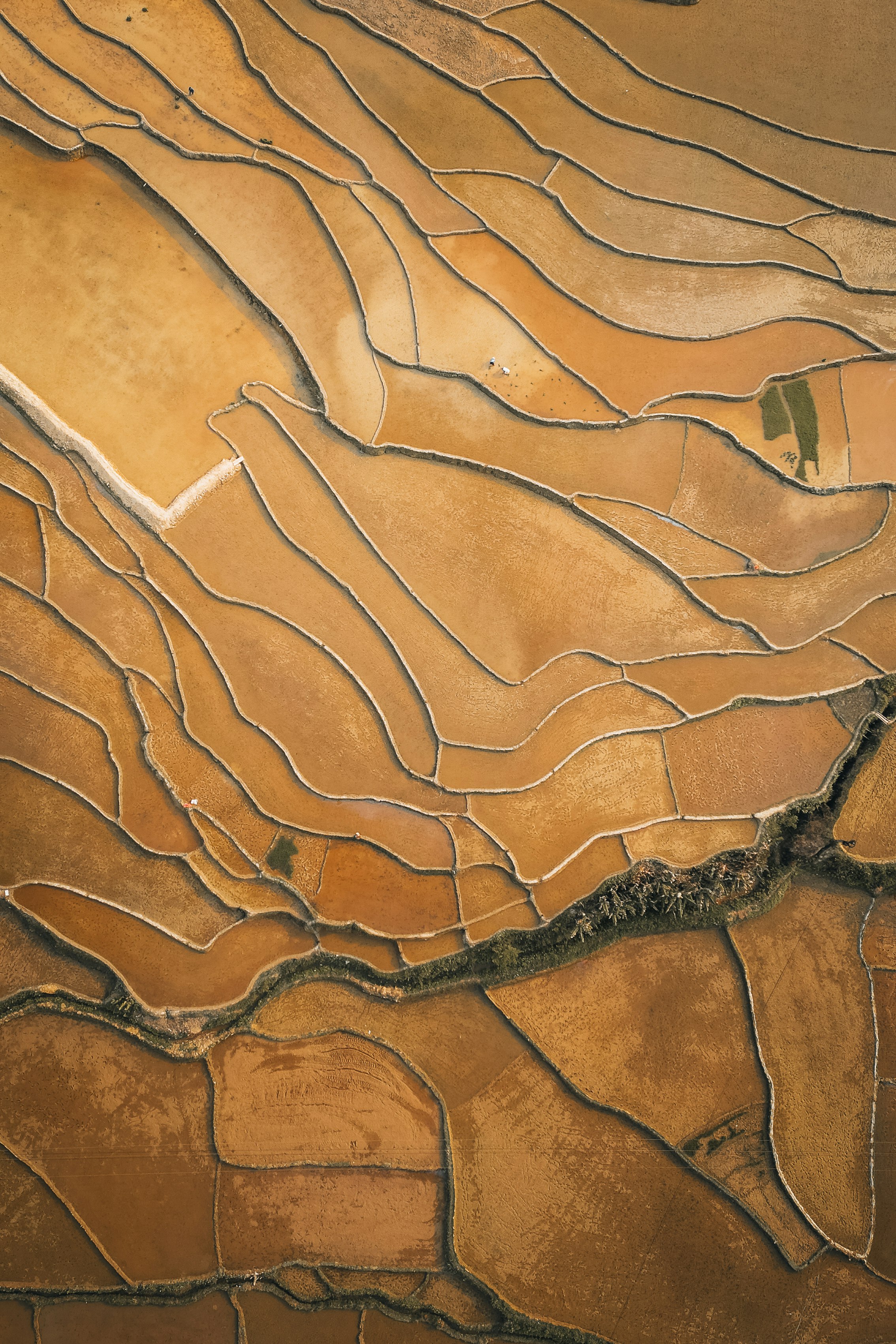 Team collaborating on AI strategy