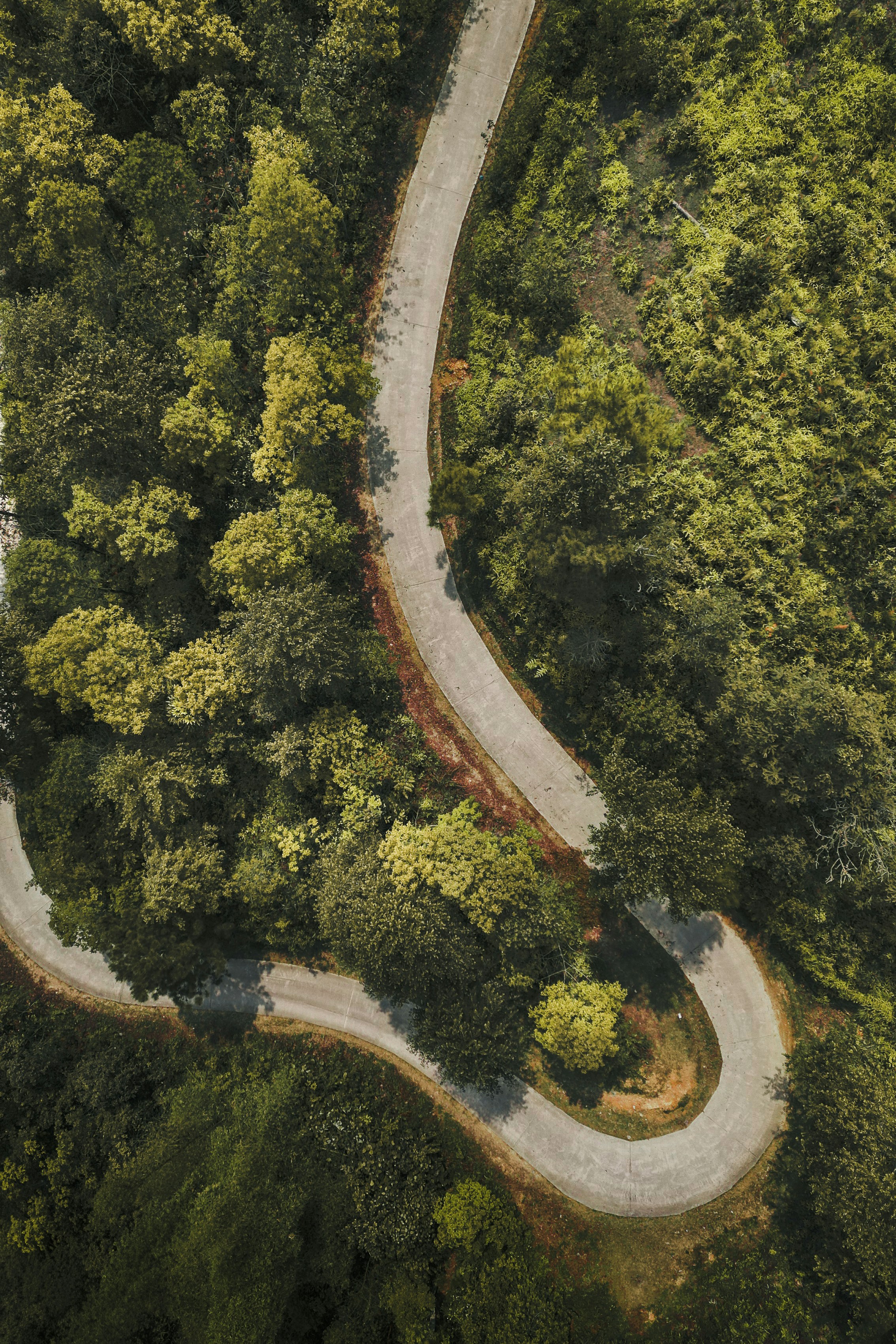 Photo by kevin_charit