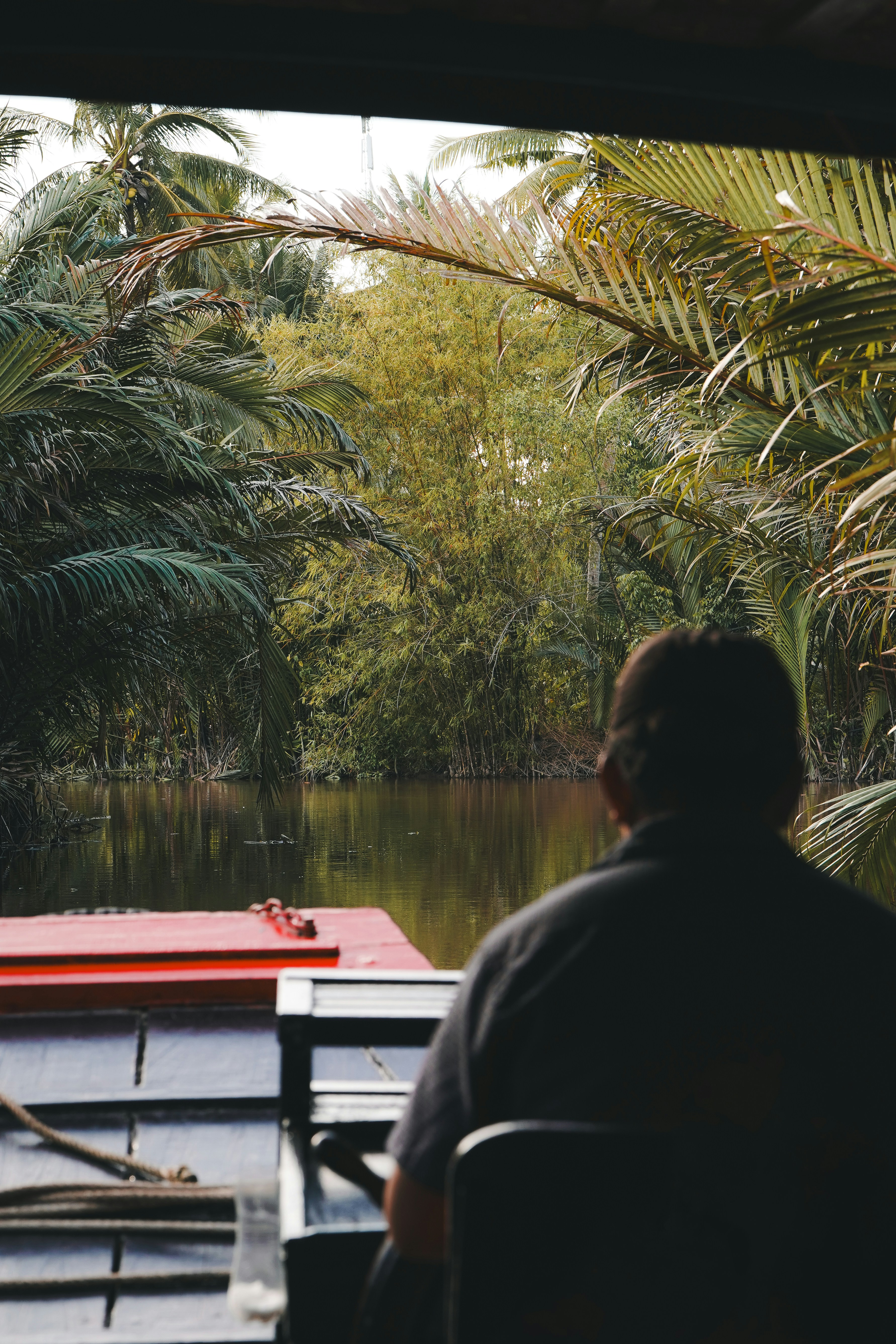 Une personne apprécie la vue sur la nature luxuriante et verte.