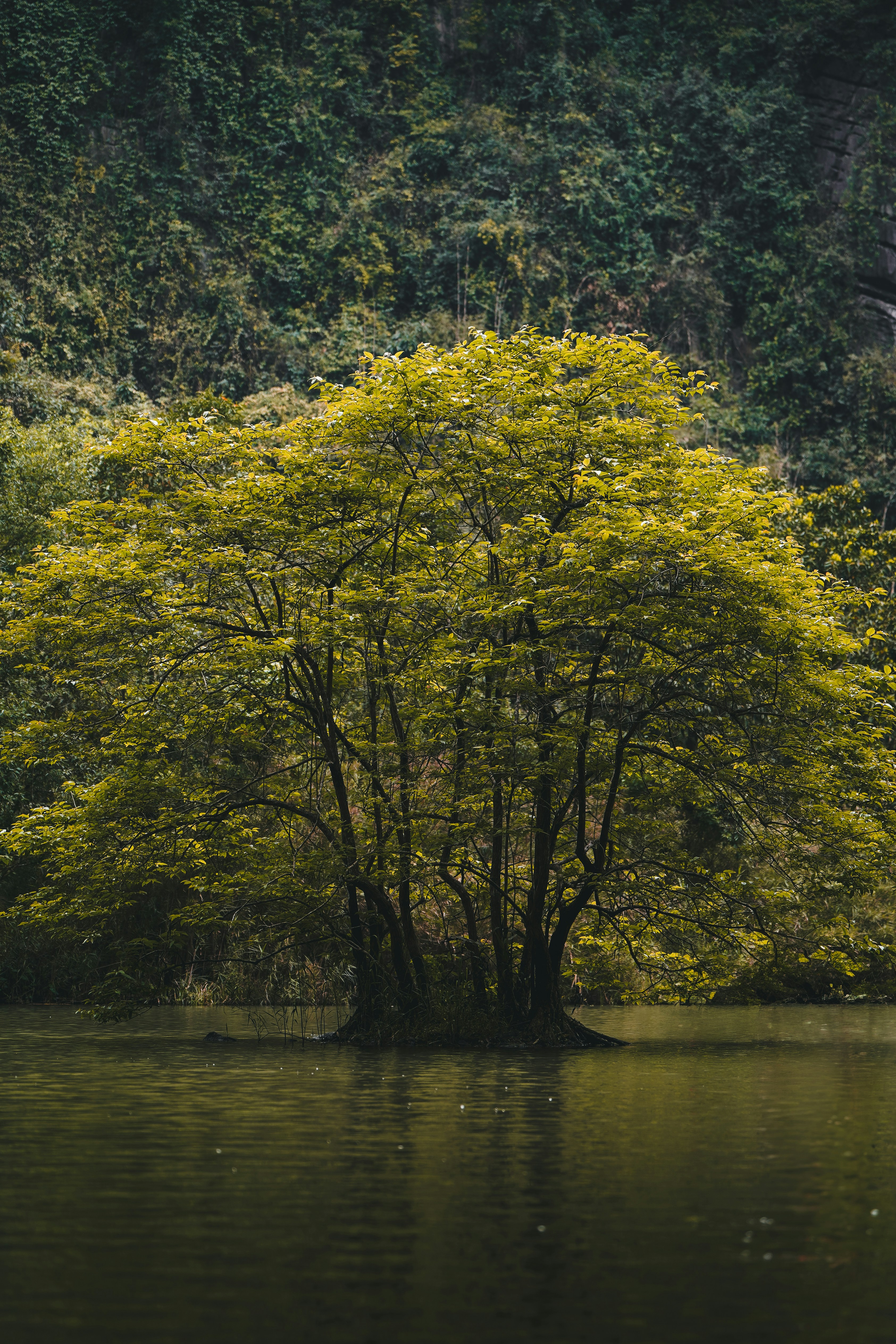 Photo by kevin_charit