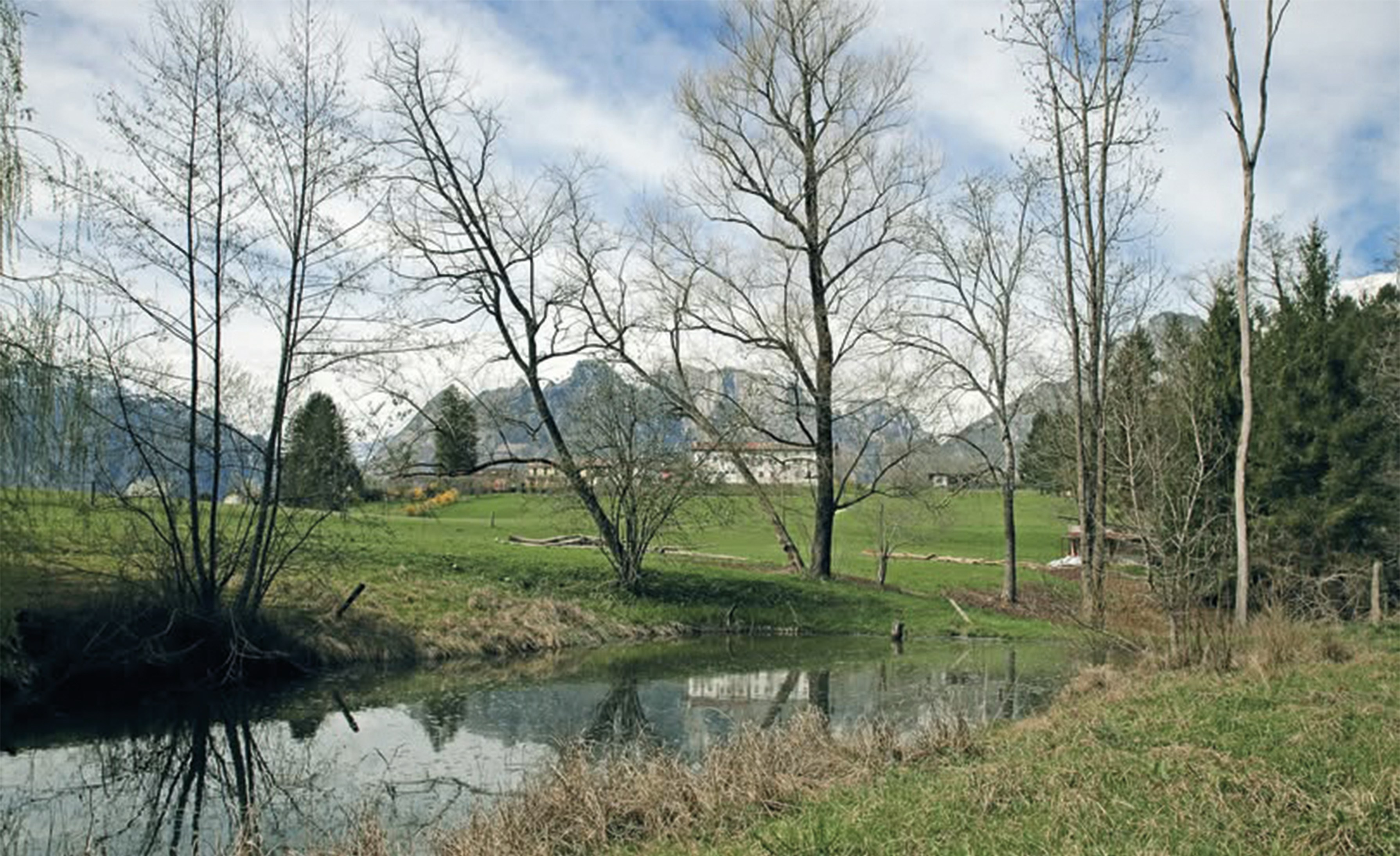 Photo by paolo1971