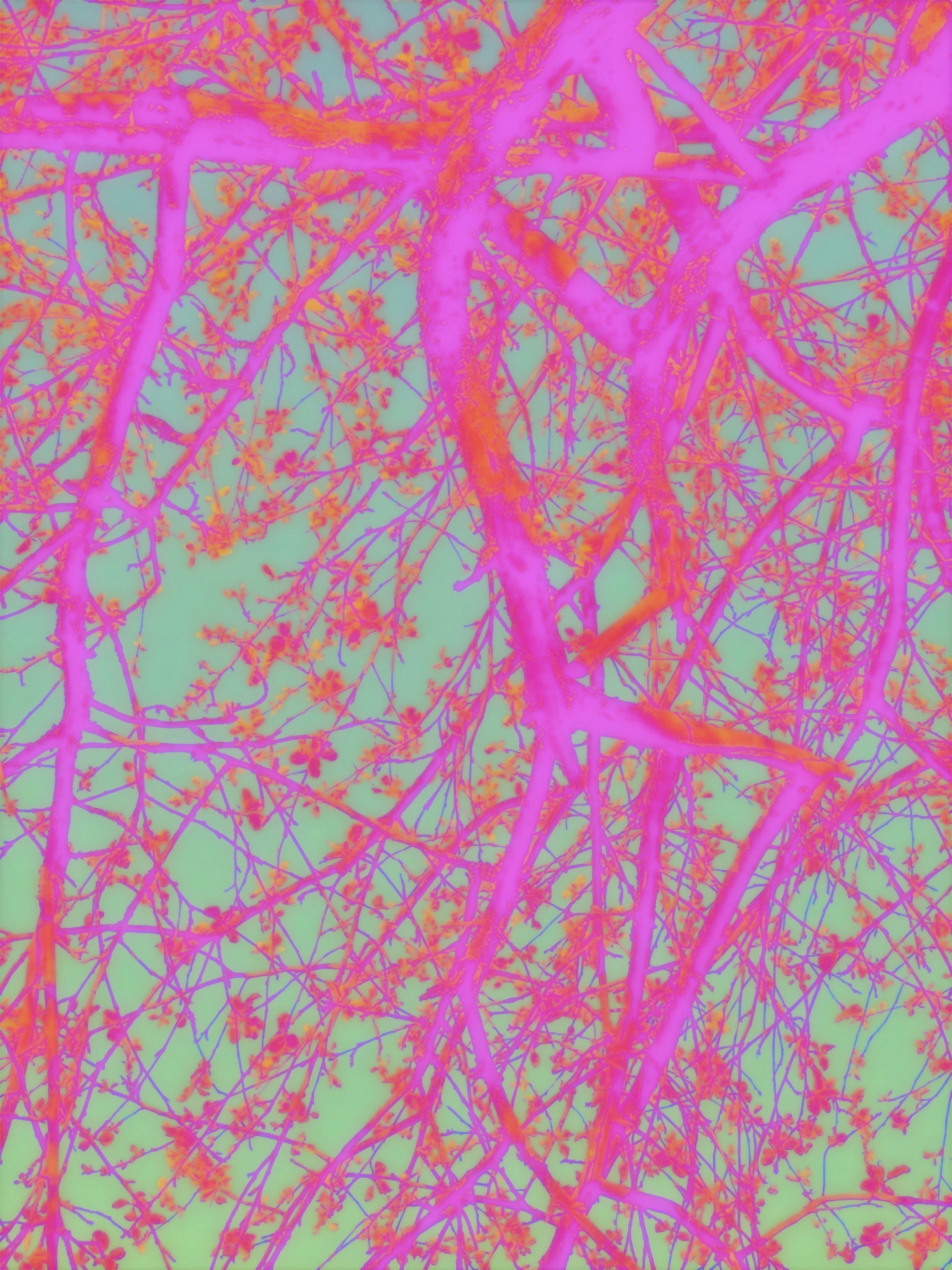 Photo by eugene_golovesov