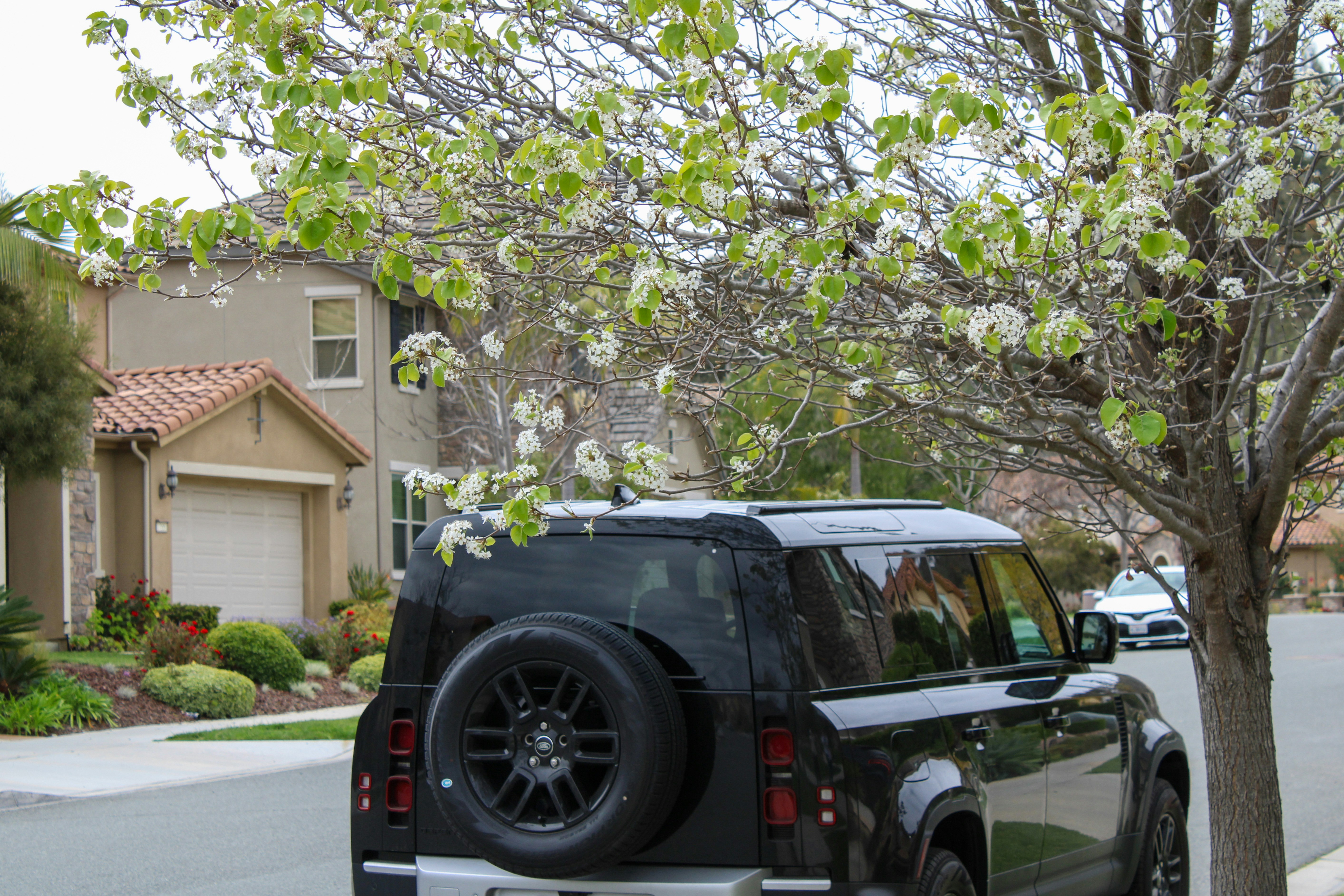 Motor City Auto Detailing van servicing a car in a Scottsdale driveway - car detailing near me in phoenix az