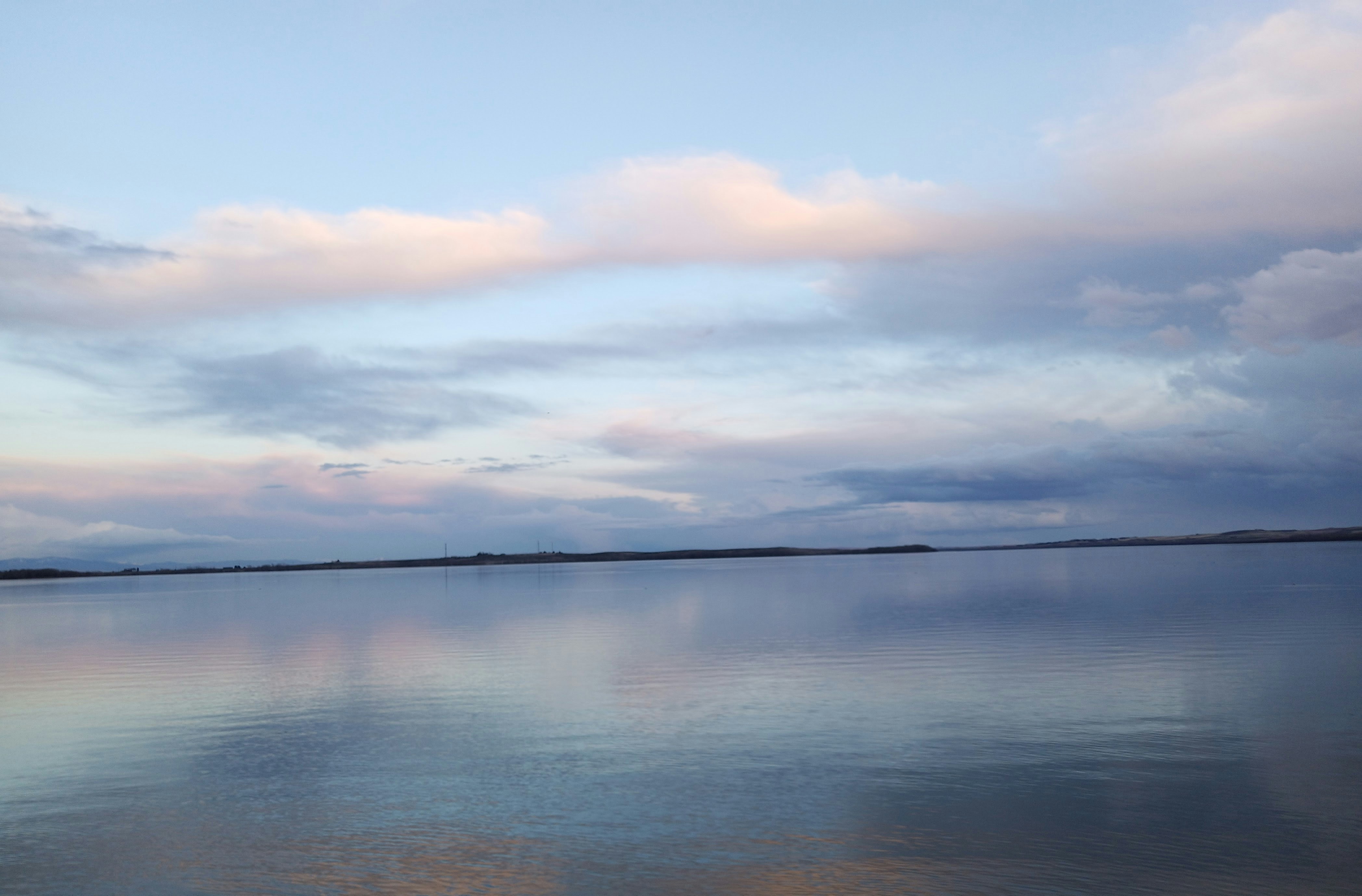 Photo by flightlessmagpie