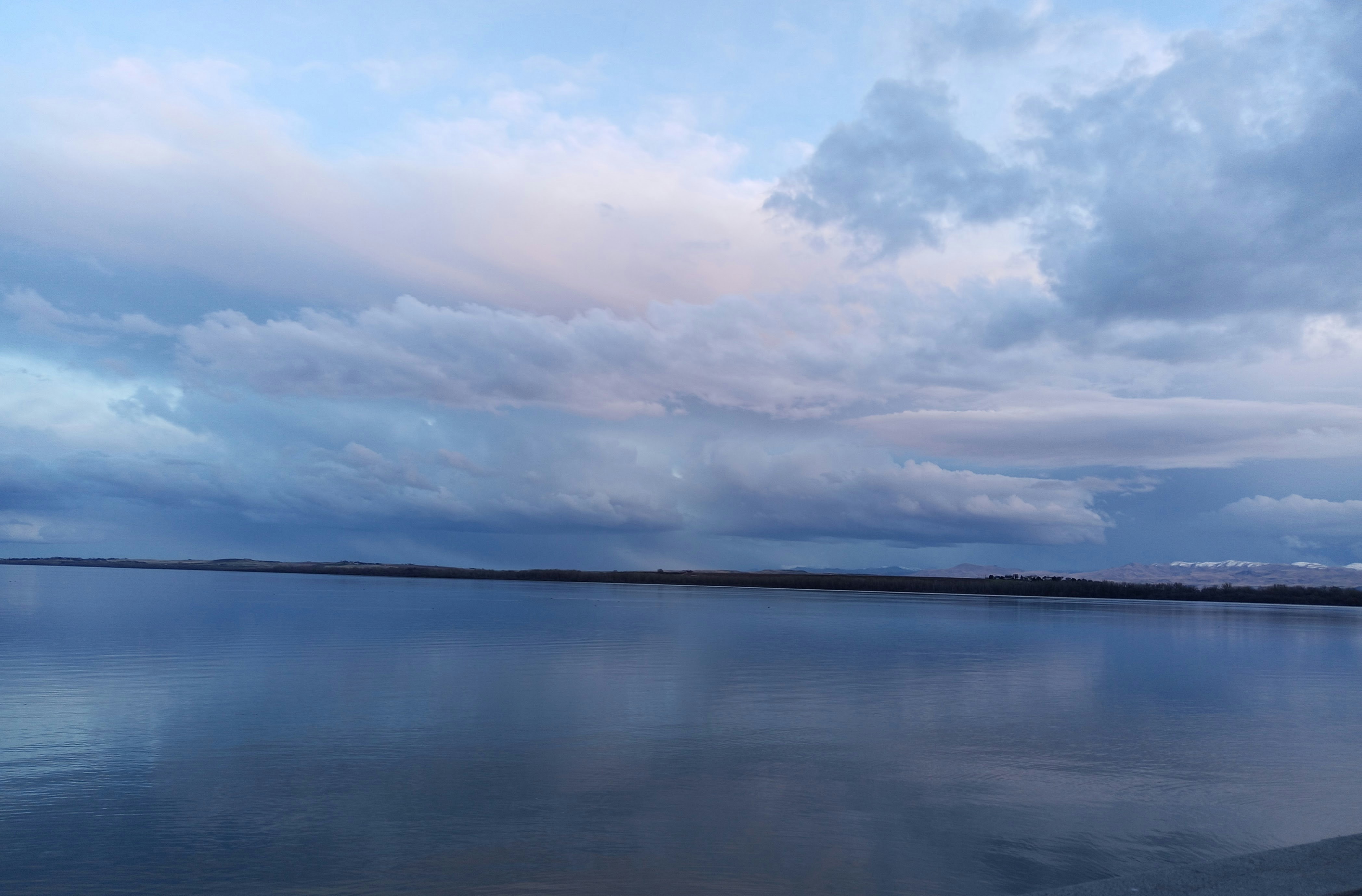 Photo by flightlessmagpie