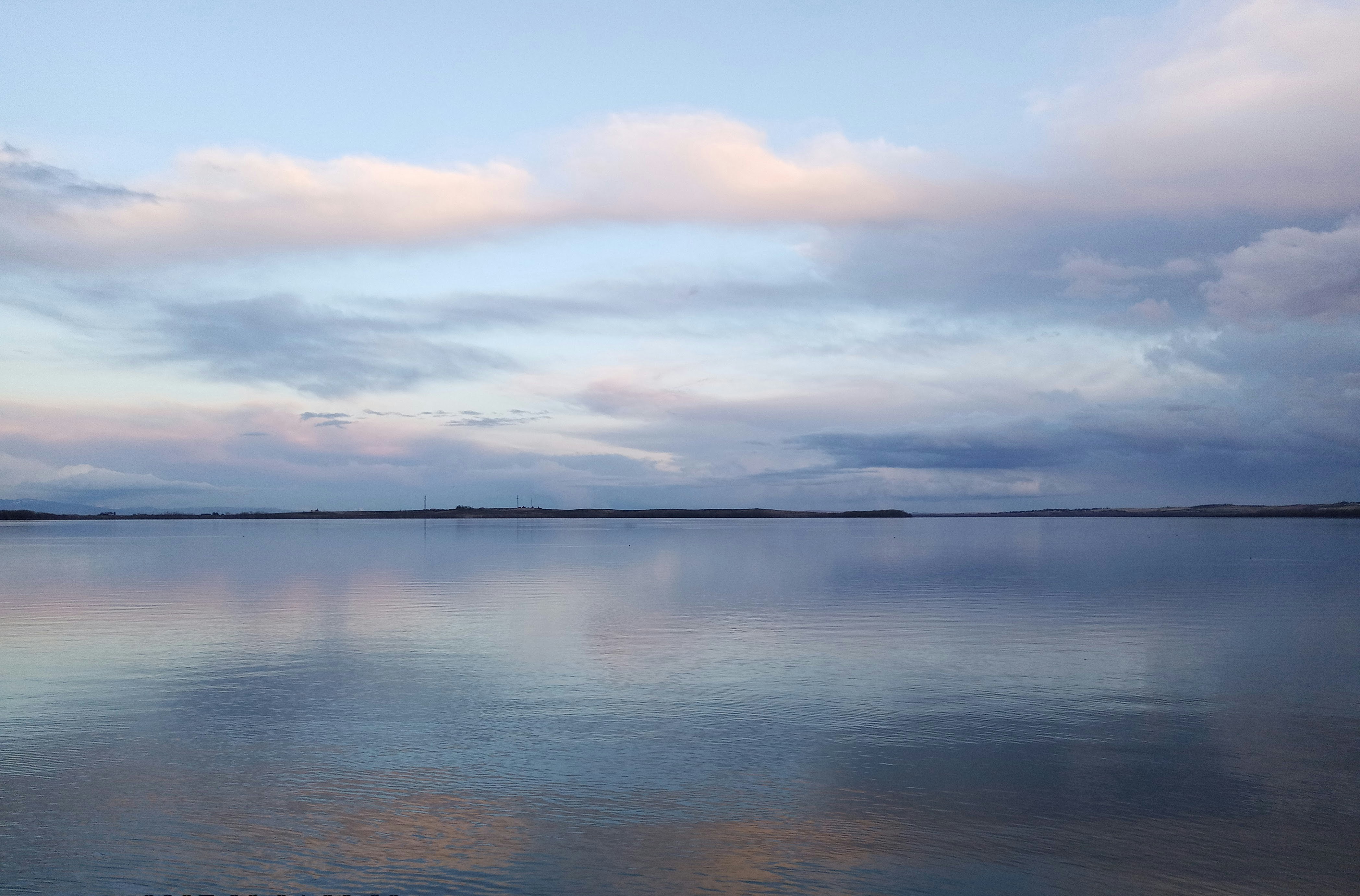 Photo by flightlessmagpie