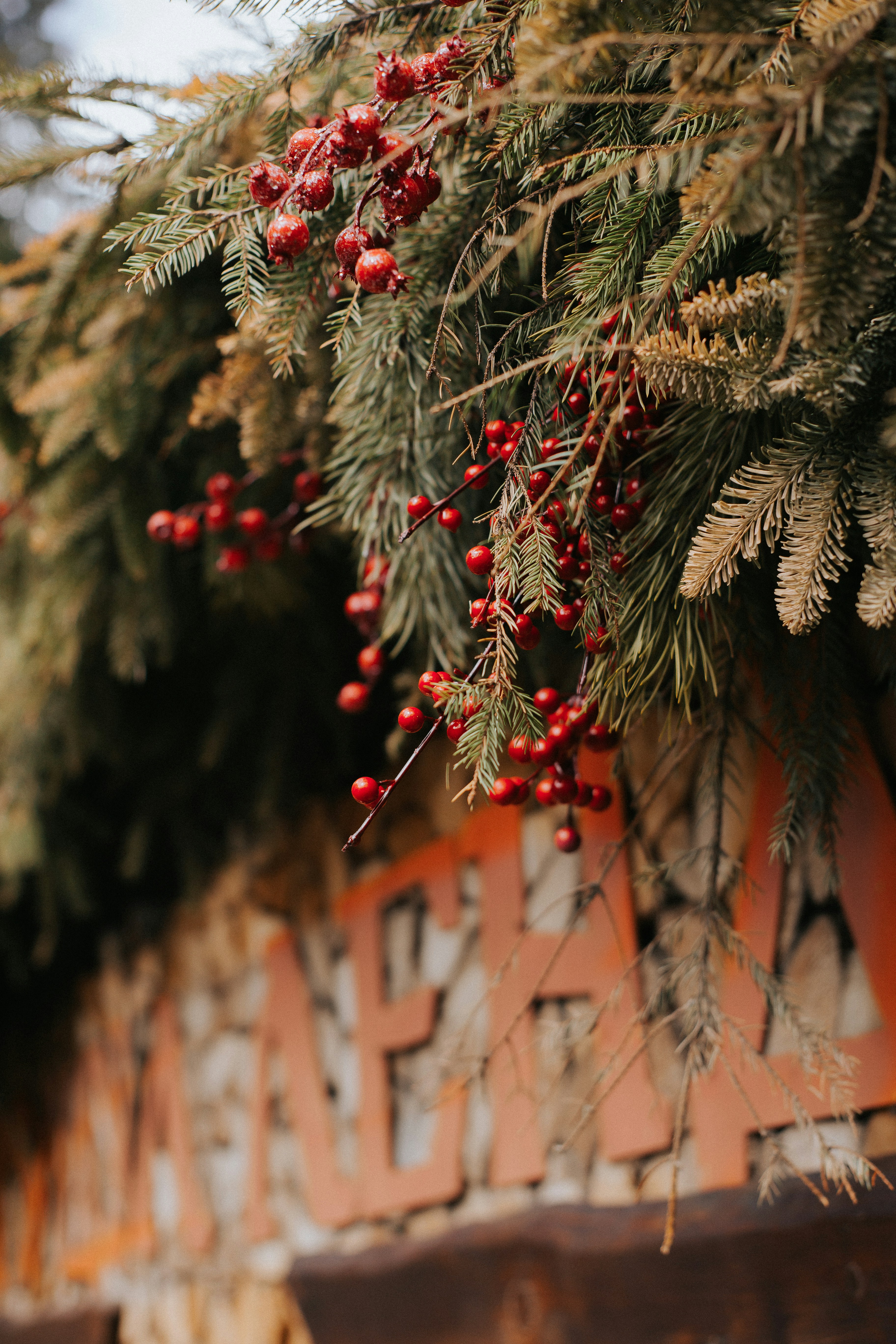 Photo by svitlana_rusak