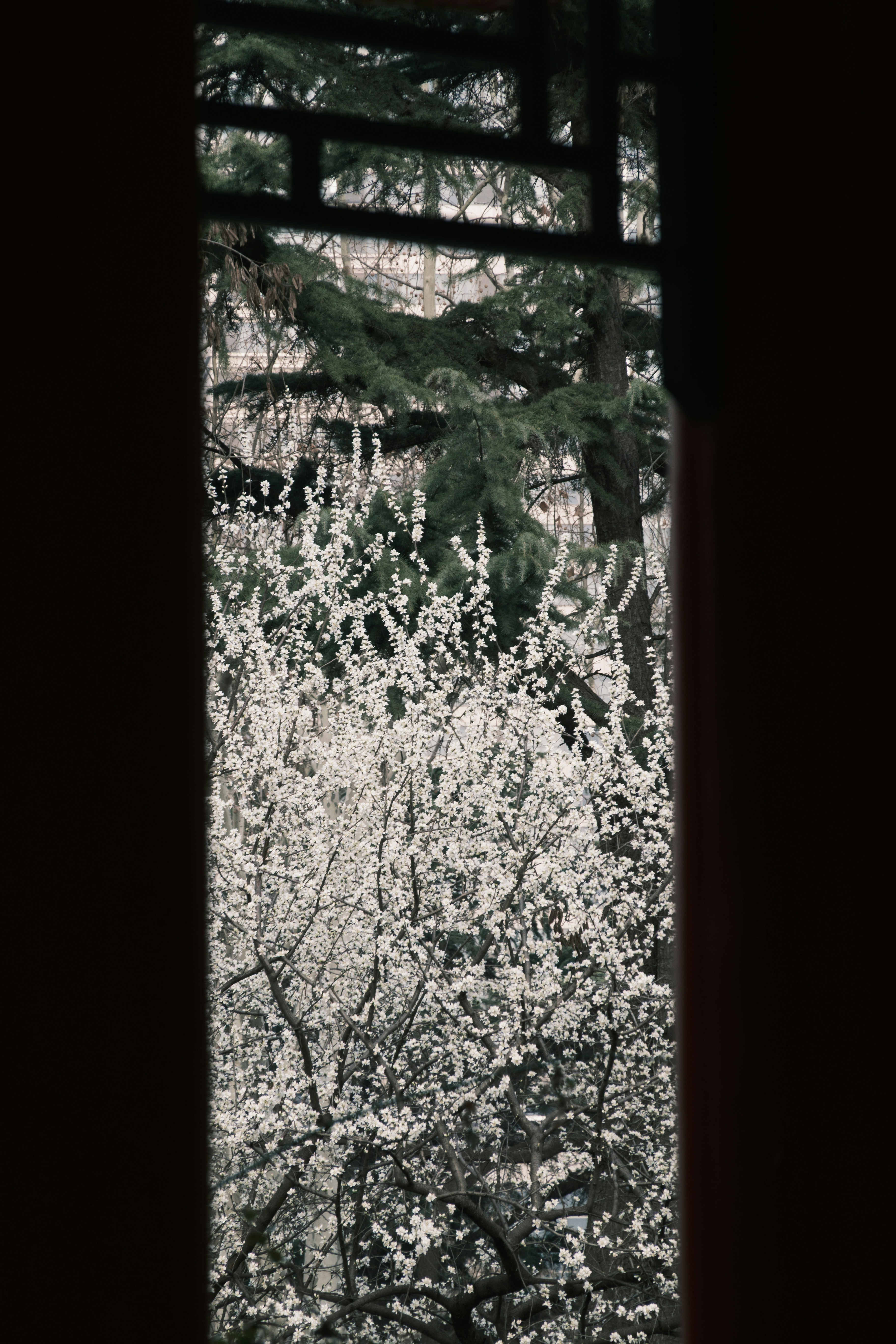 Photo by applepencil4