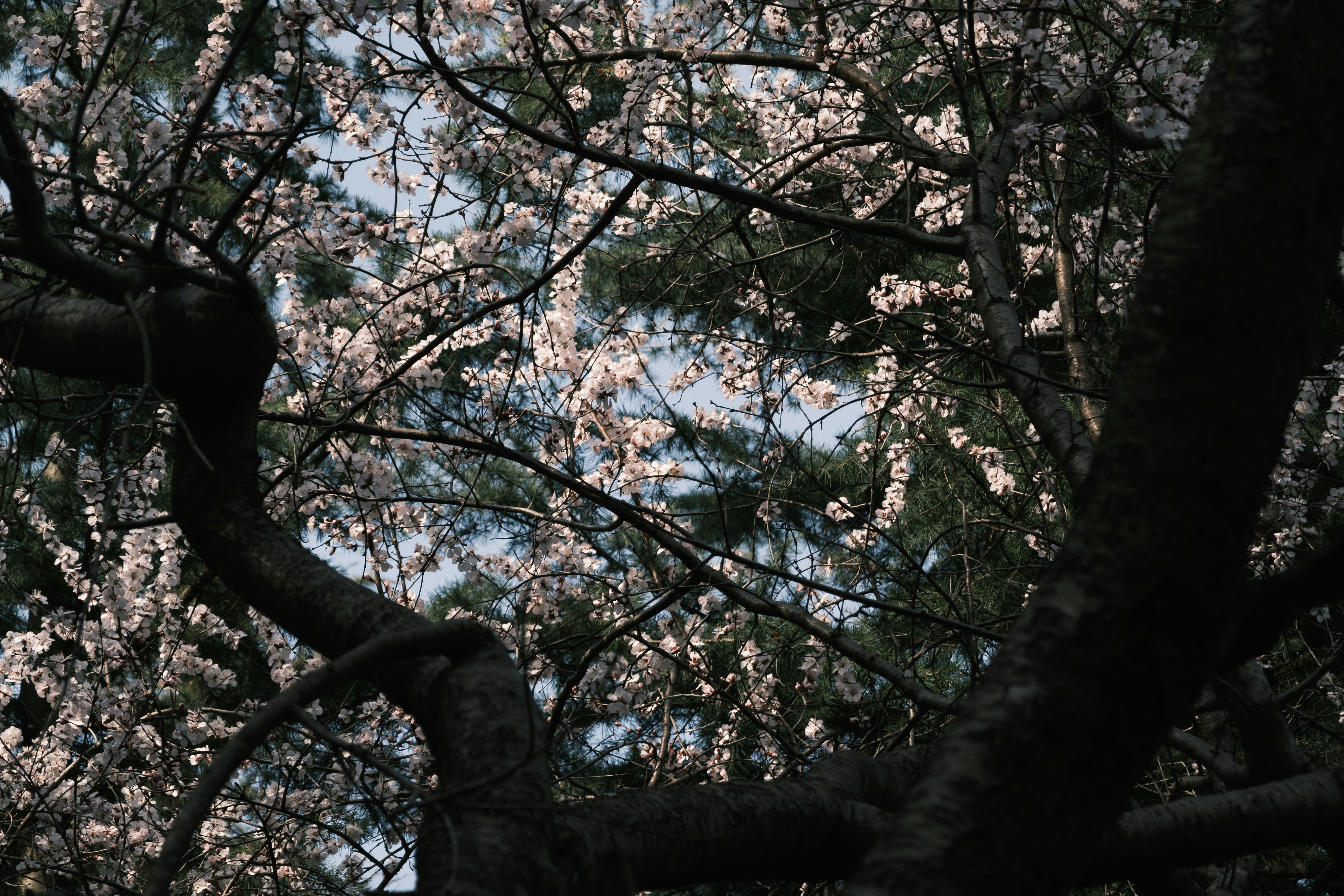 Photo by applepencil4