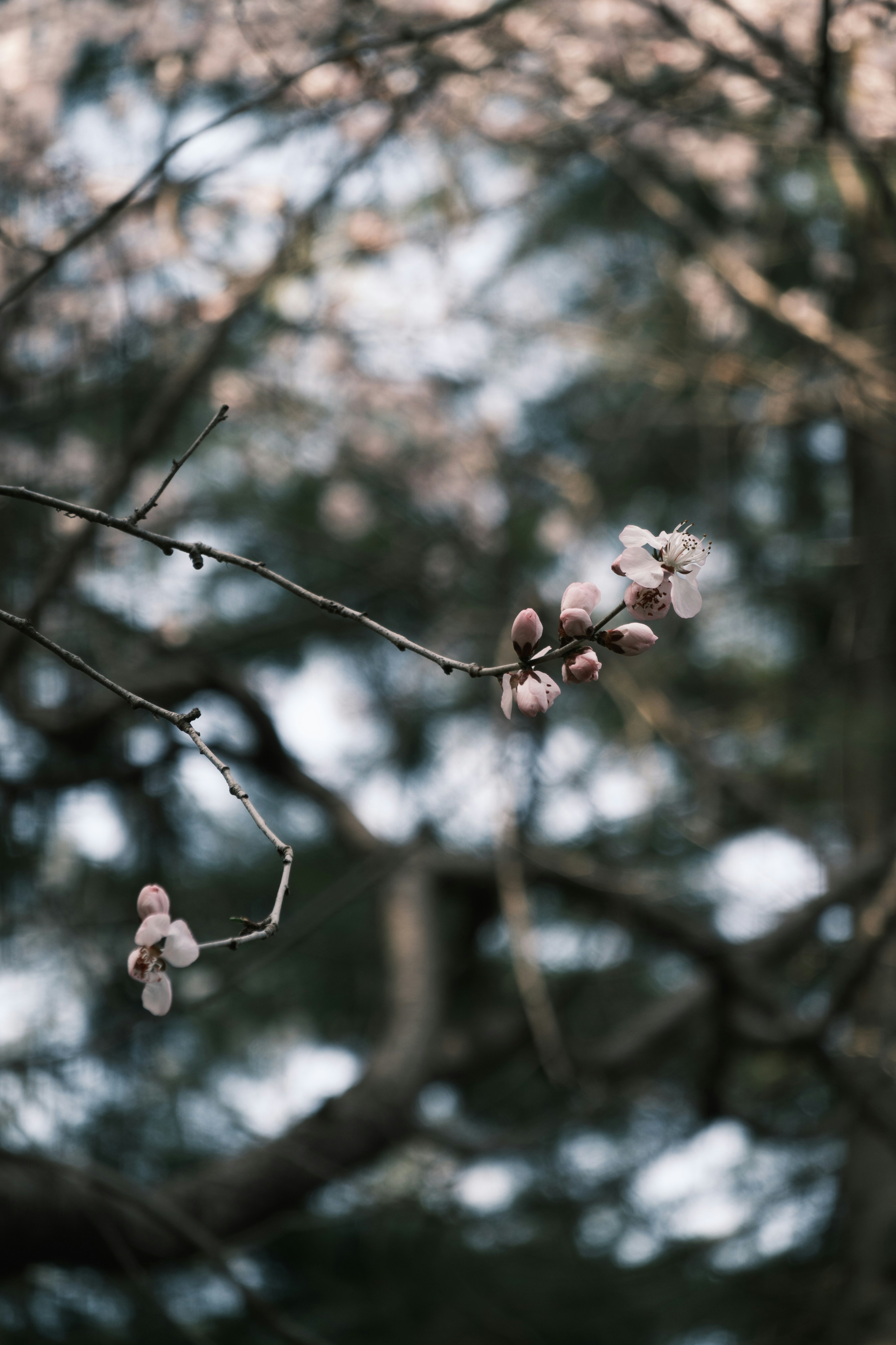 Photo by applepencil4