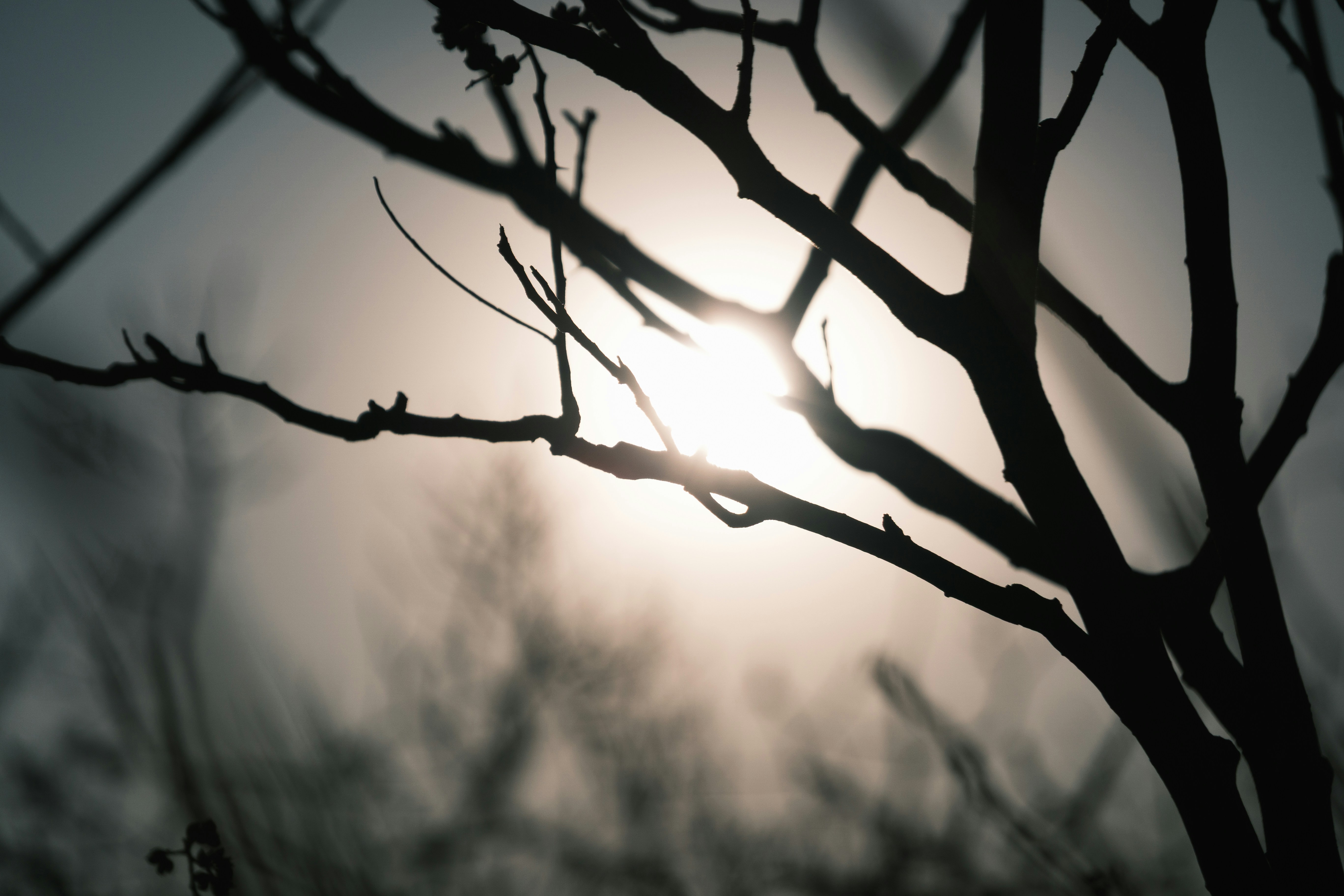 Photo by applepencil4