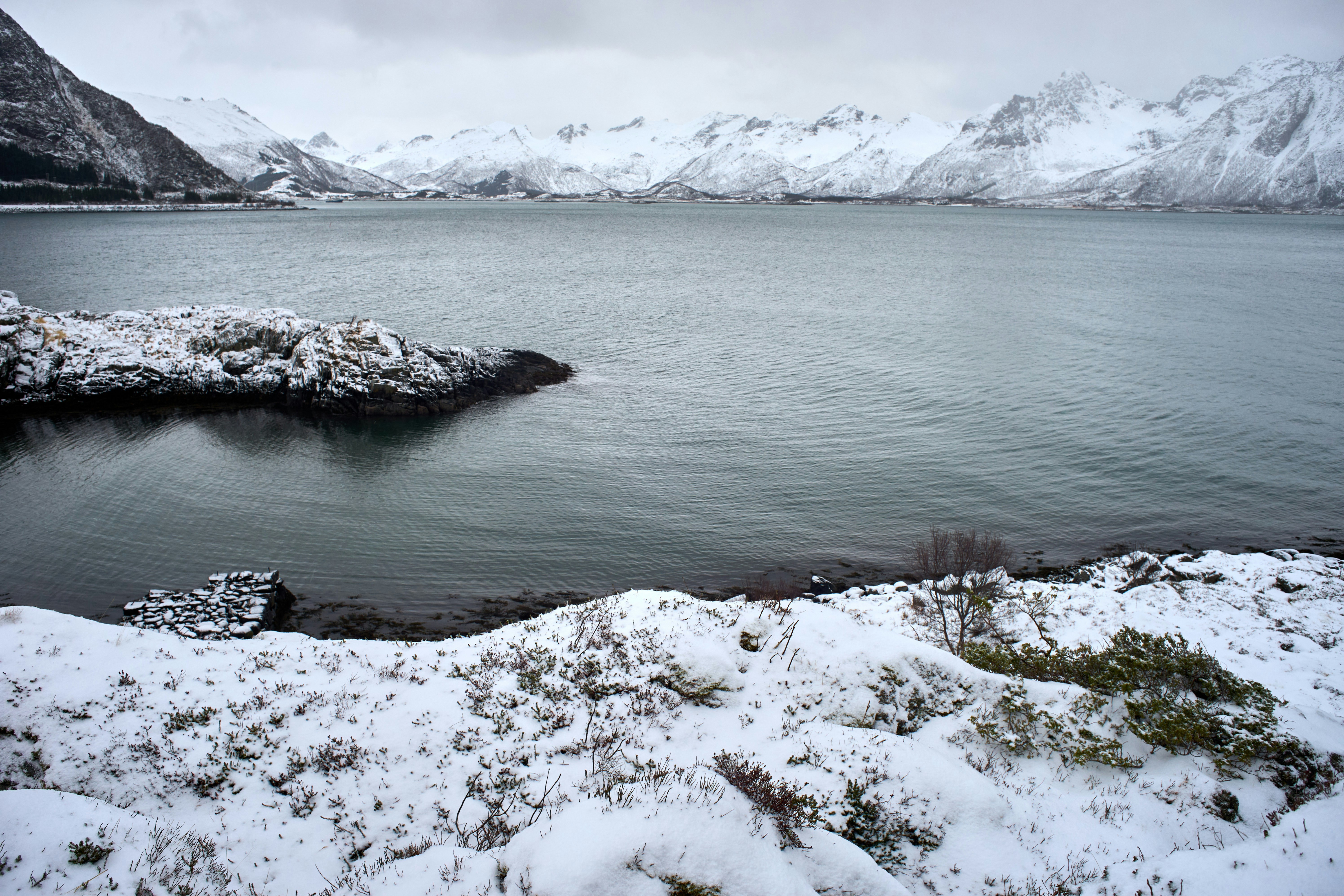 Photo by wolfgang_hasselmann