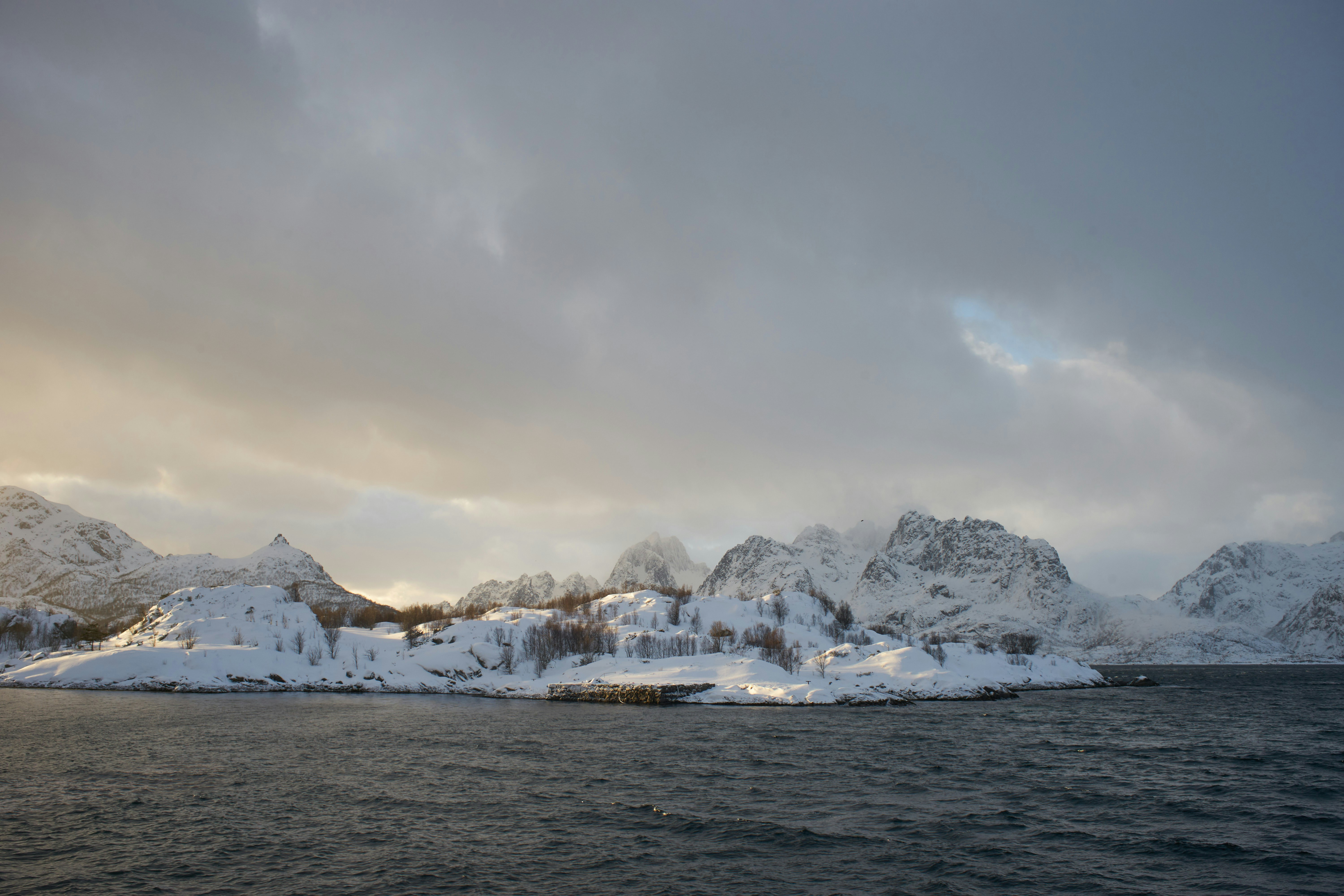 Photo by wolfgang_hasselmann