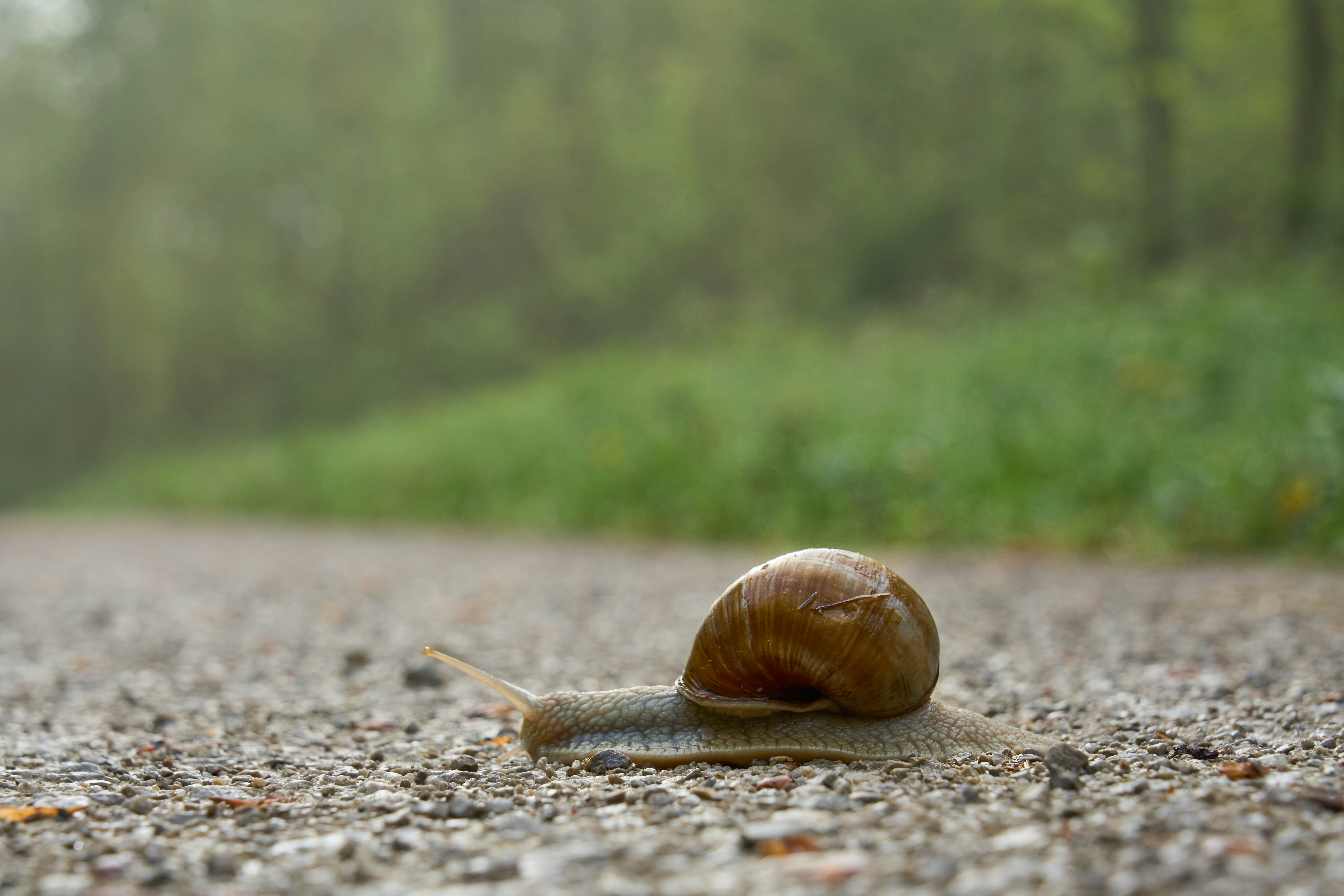 Photo by wolfgang_hasselmann