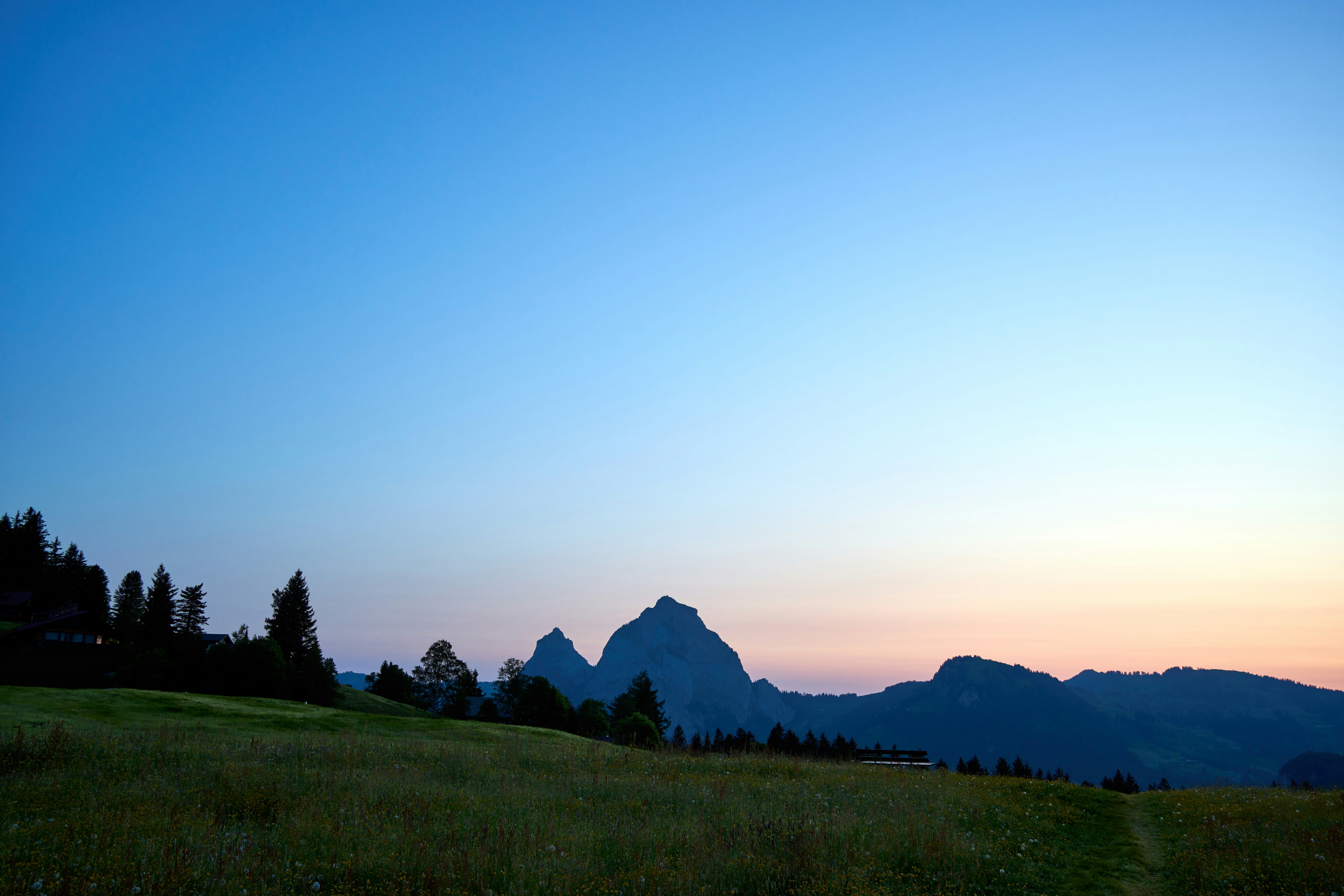 Photo by wolfgang_hasselmann