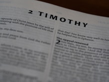 A page from the bible showing 2 timothy.