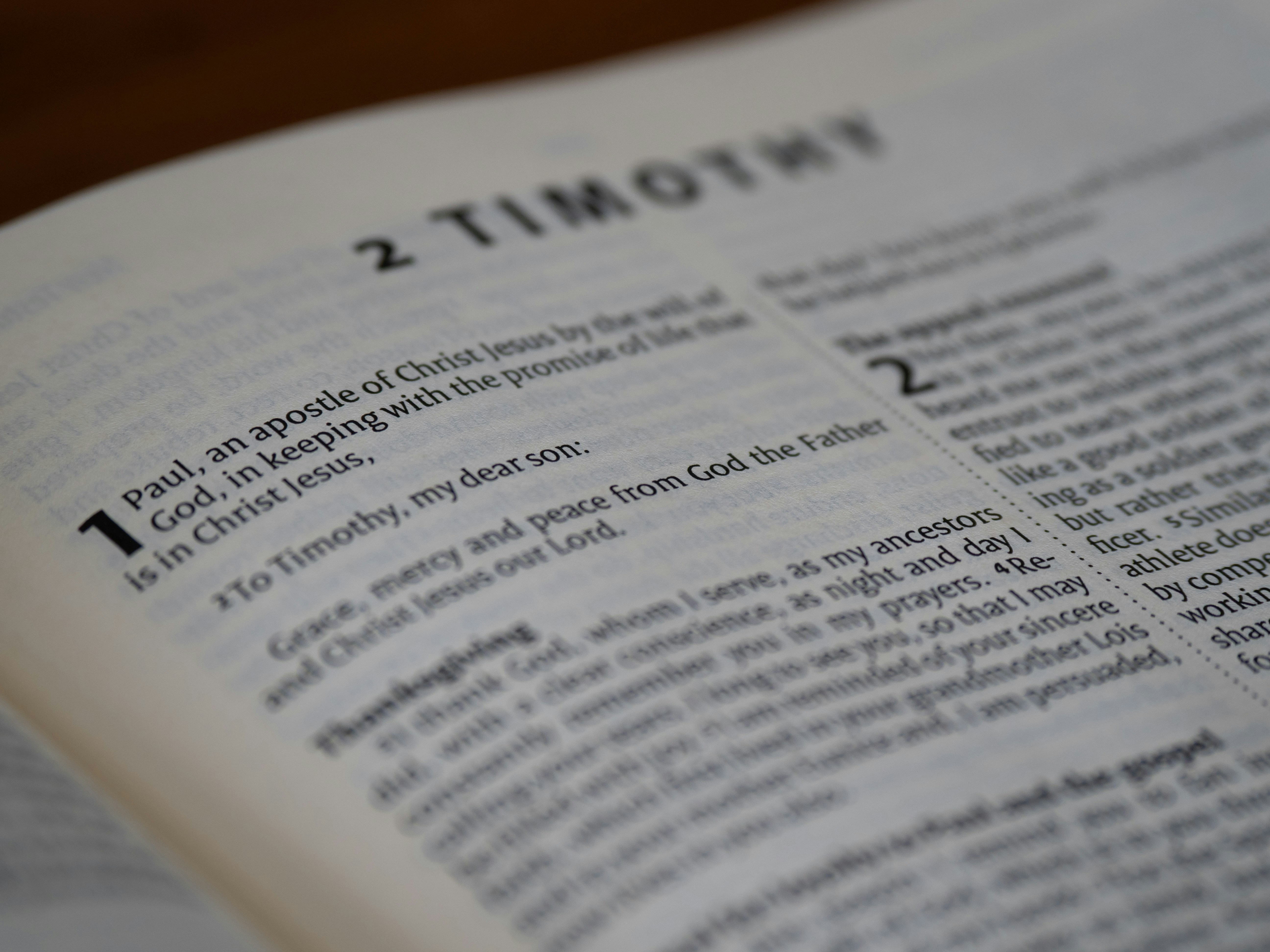 The image shows an open bible reading second timothy. photo – Free ...