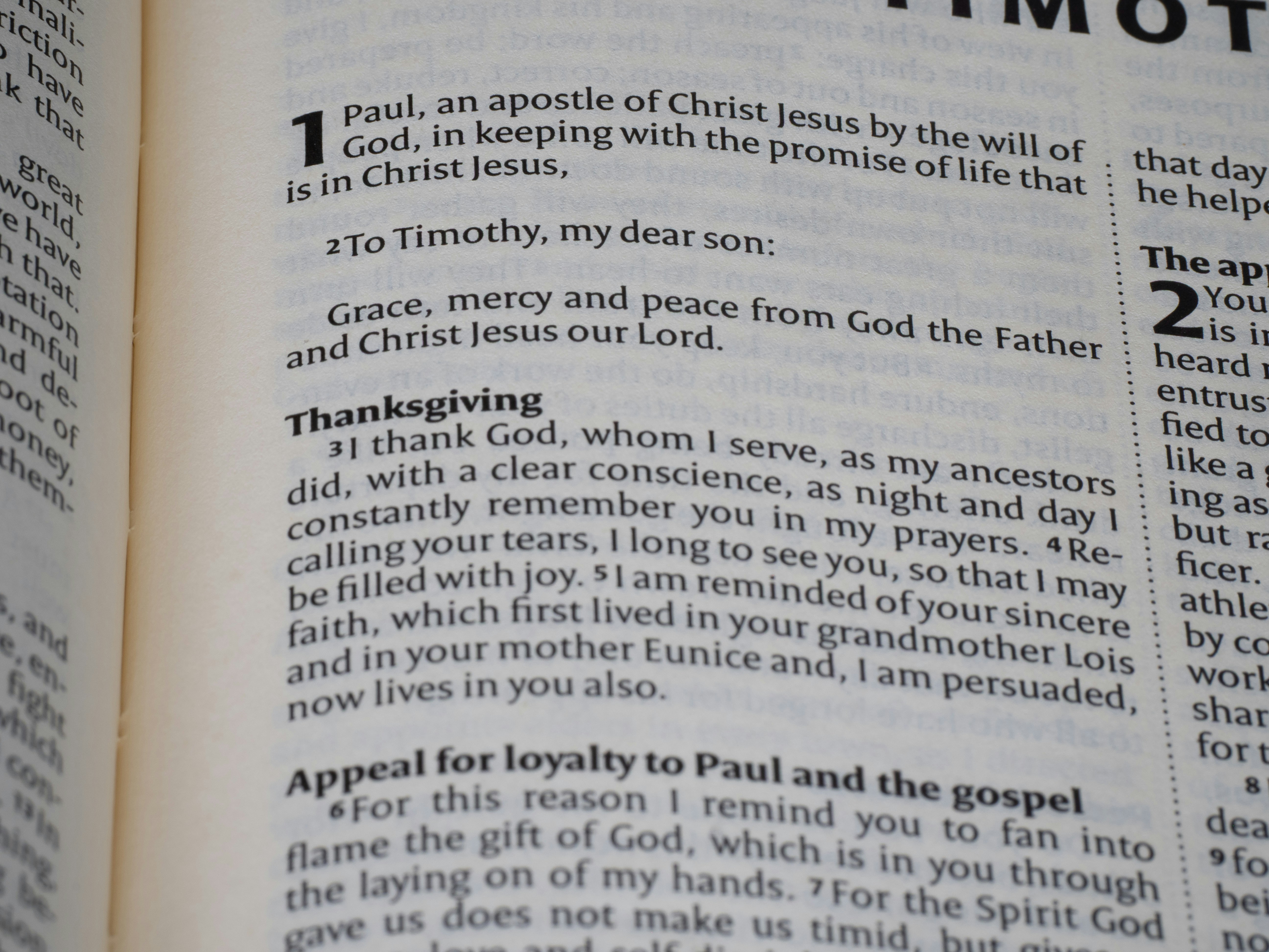 A passage from the bible: 1 timothy, the letter of paul.
