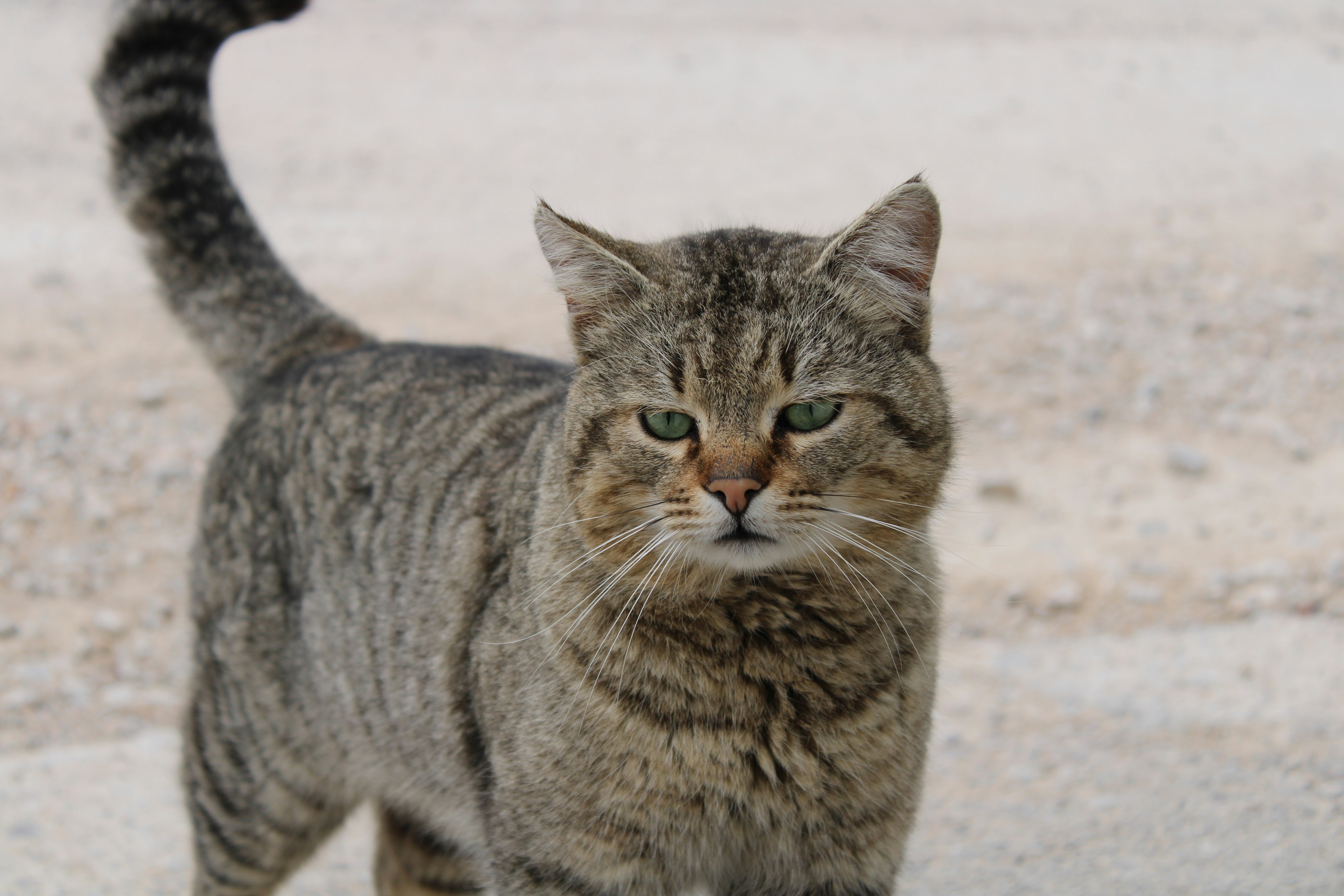 Photo by holymayrytaylor