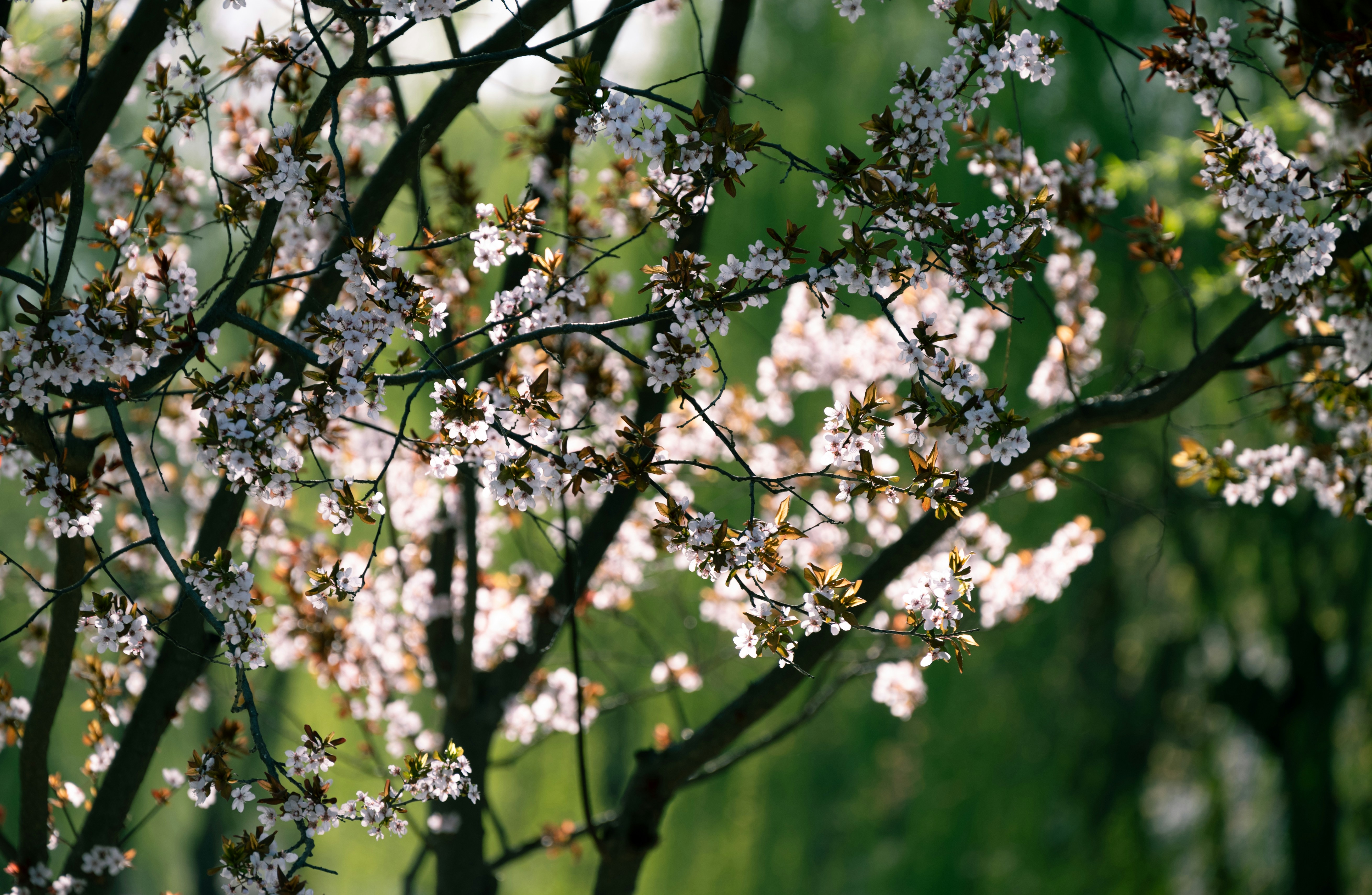 Photo by nikol_royce