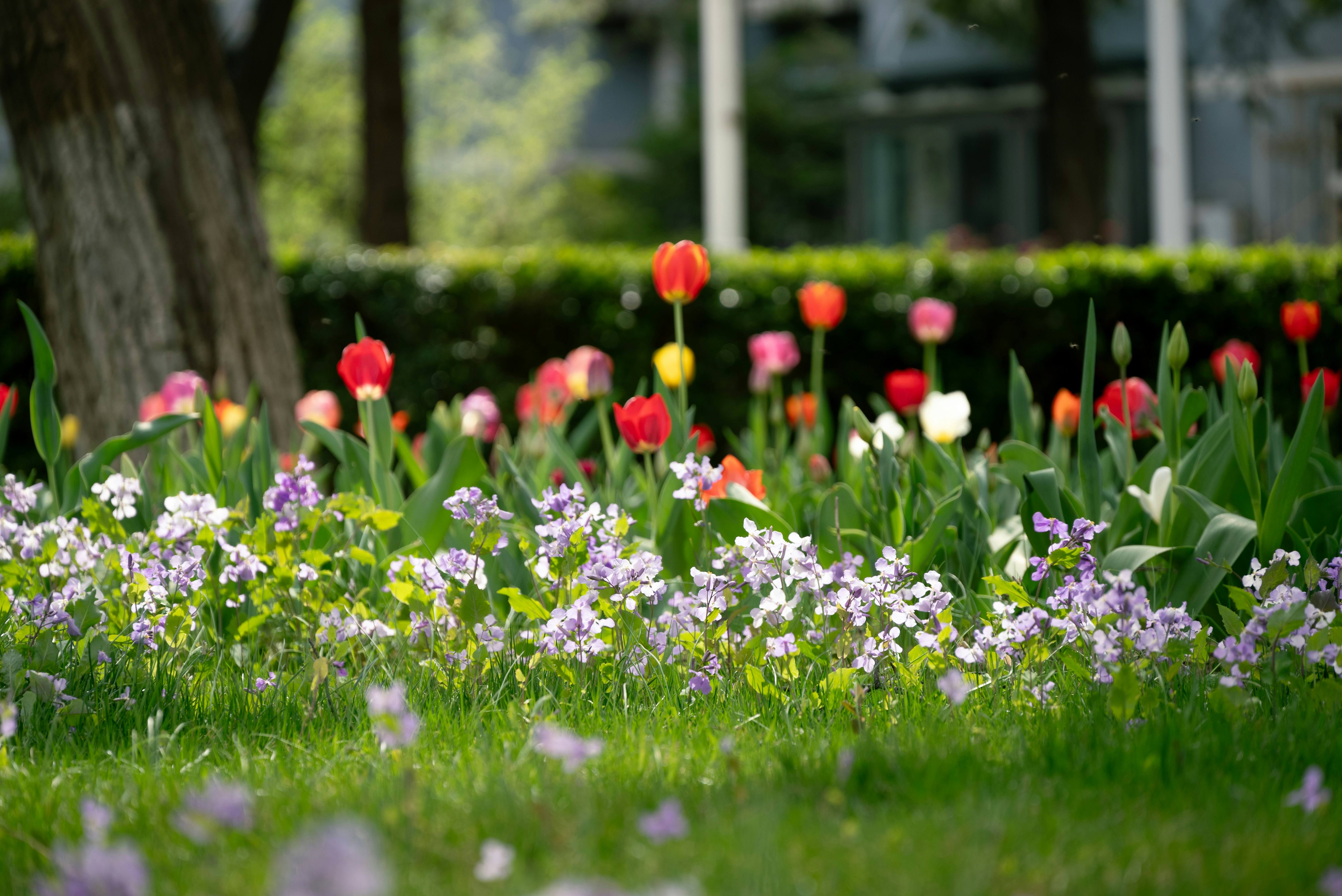 Photo by nikol_royce