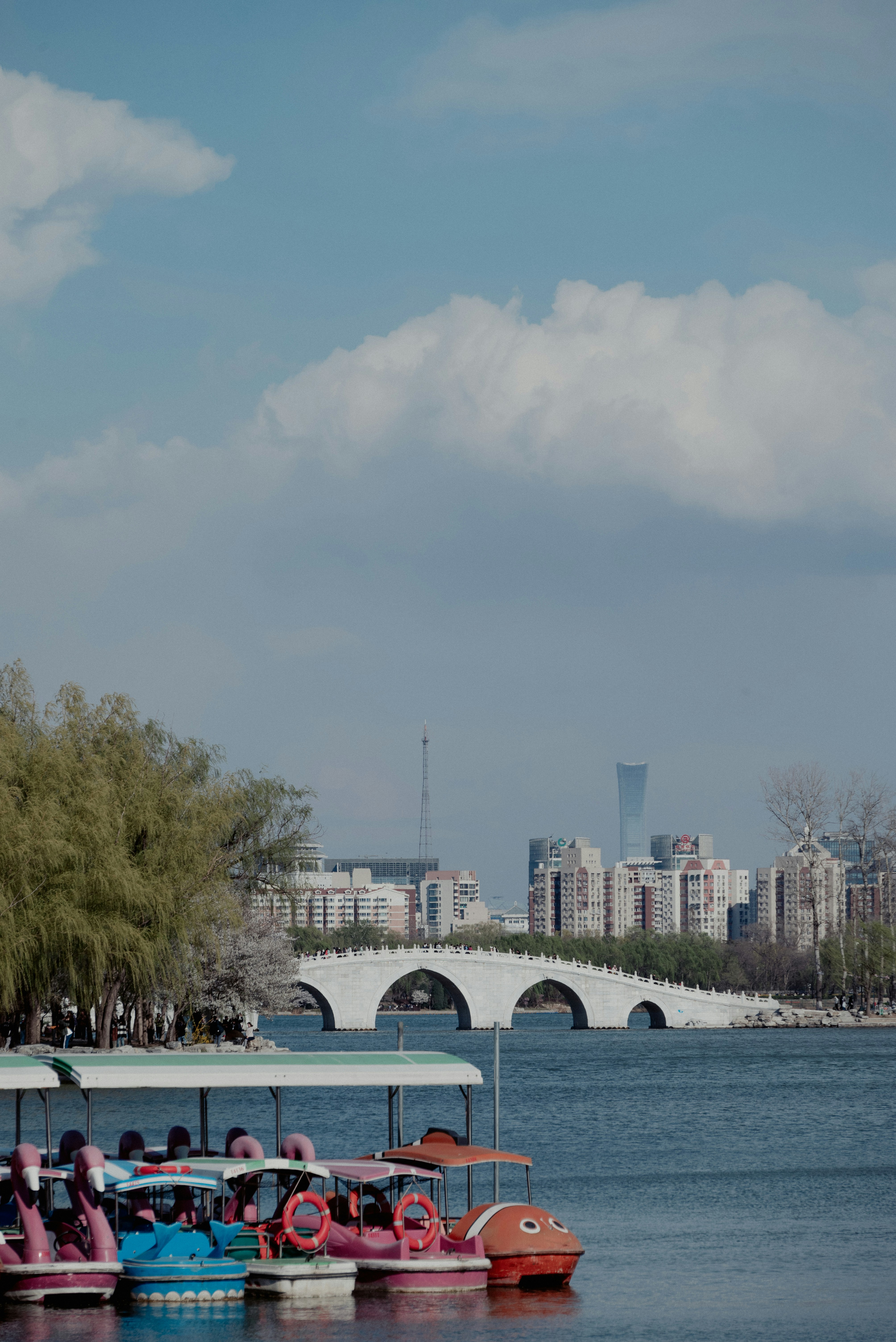 Photo by nikol_royce