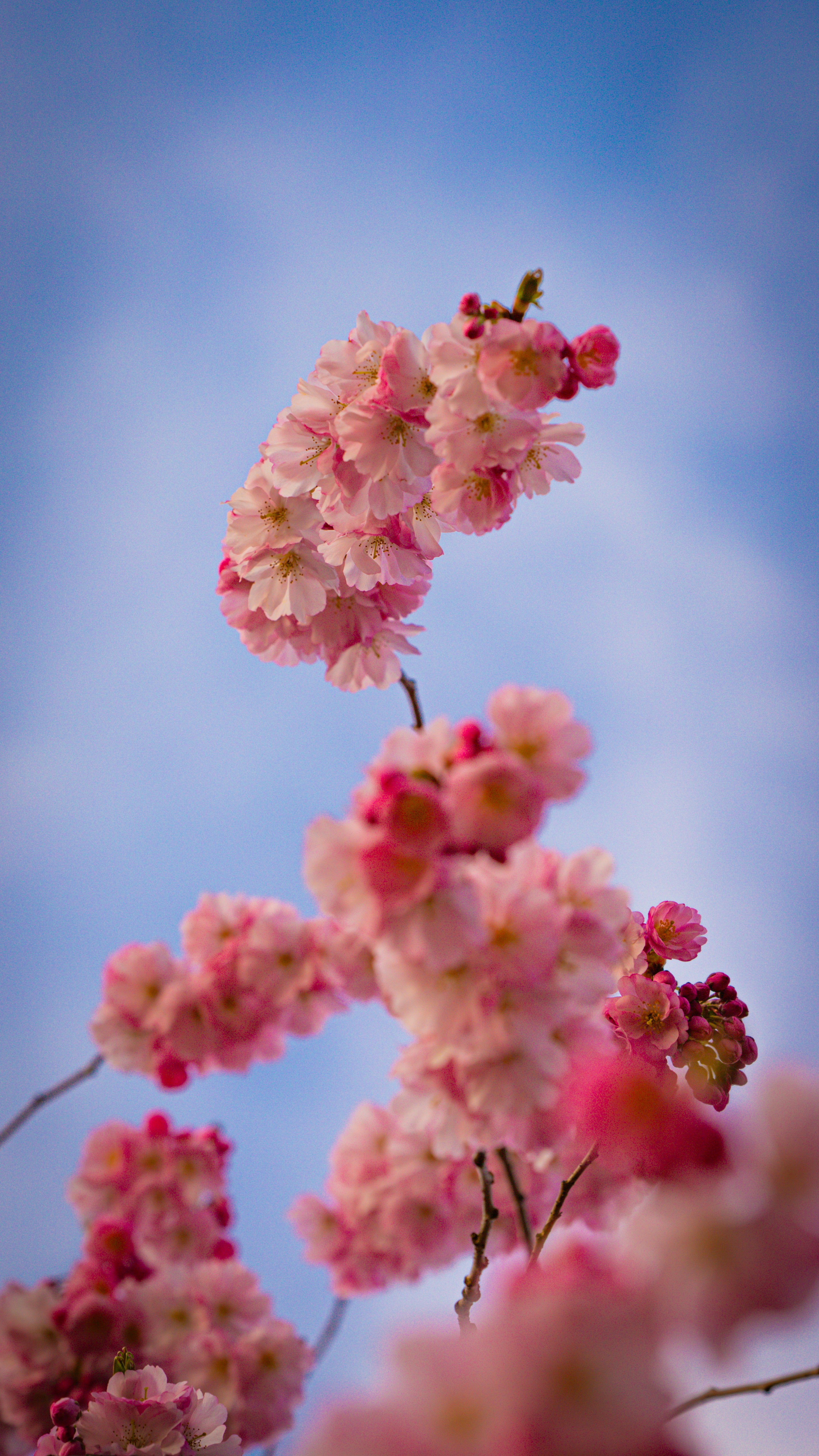 Photo by shutter_speed_