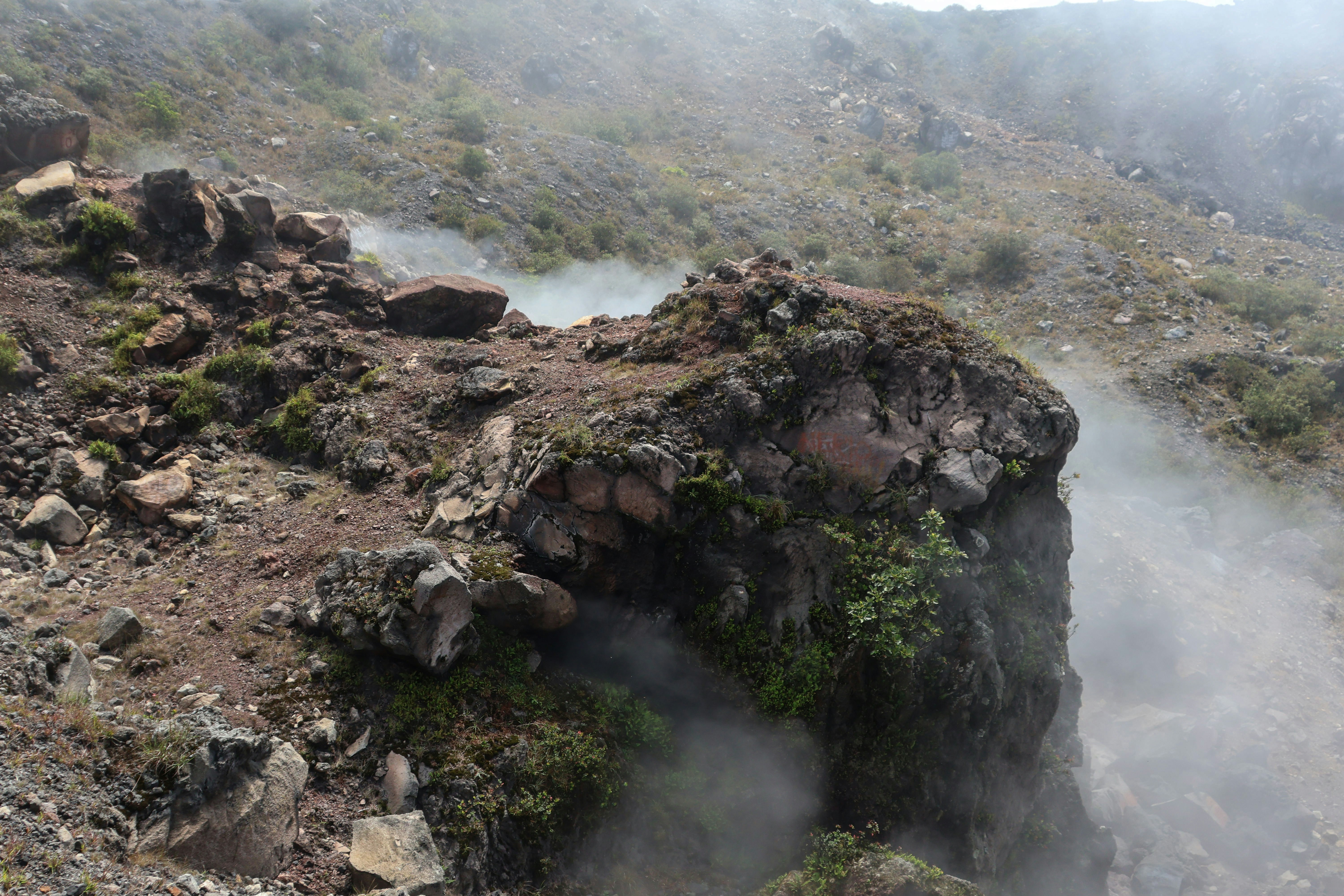 Bogoria Hot Springs and Mud
