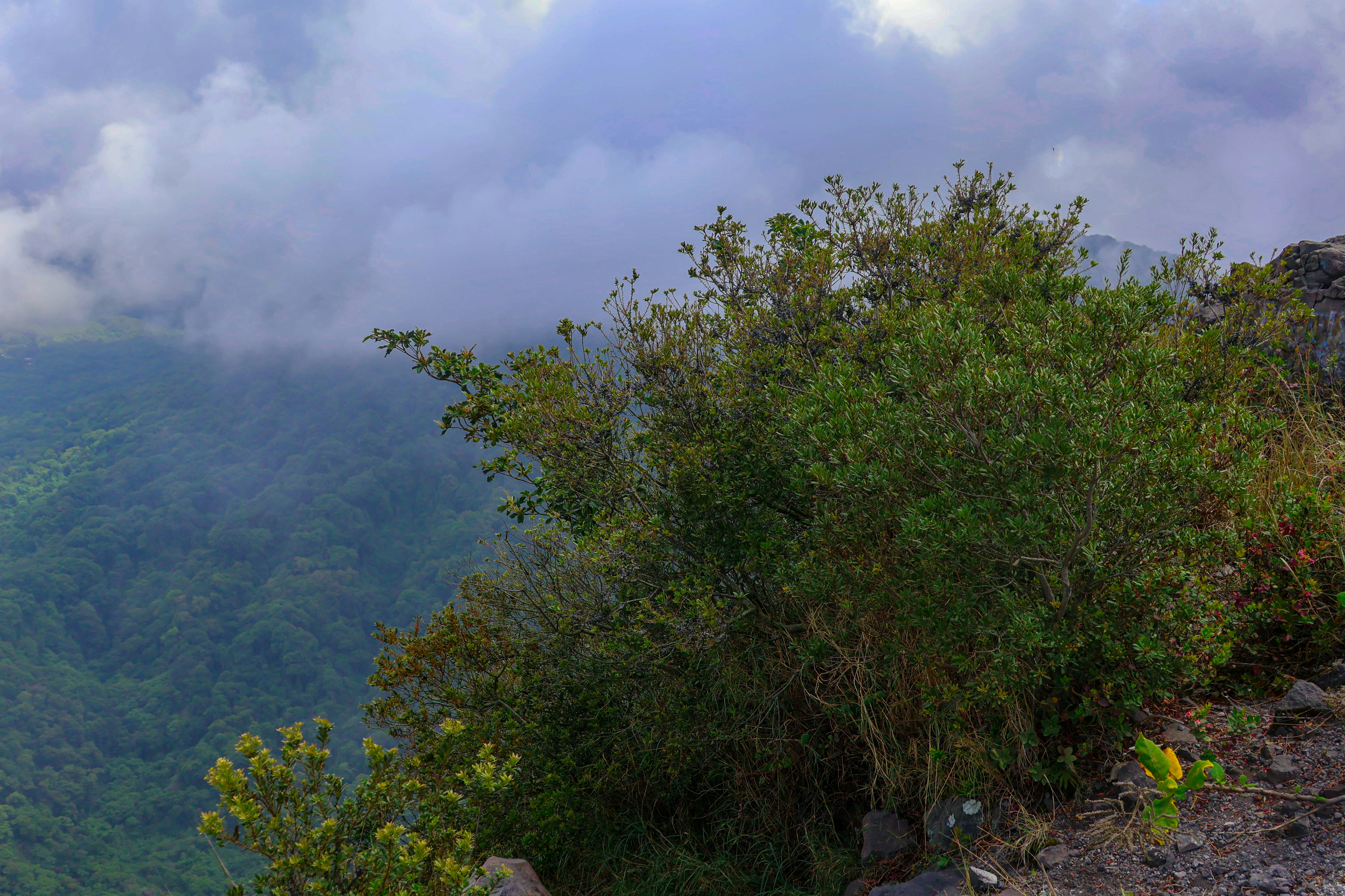 Photo by traveleroohlala