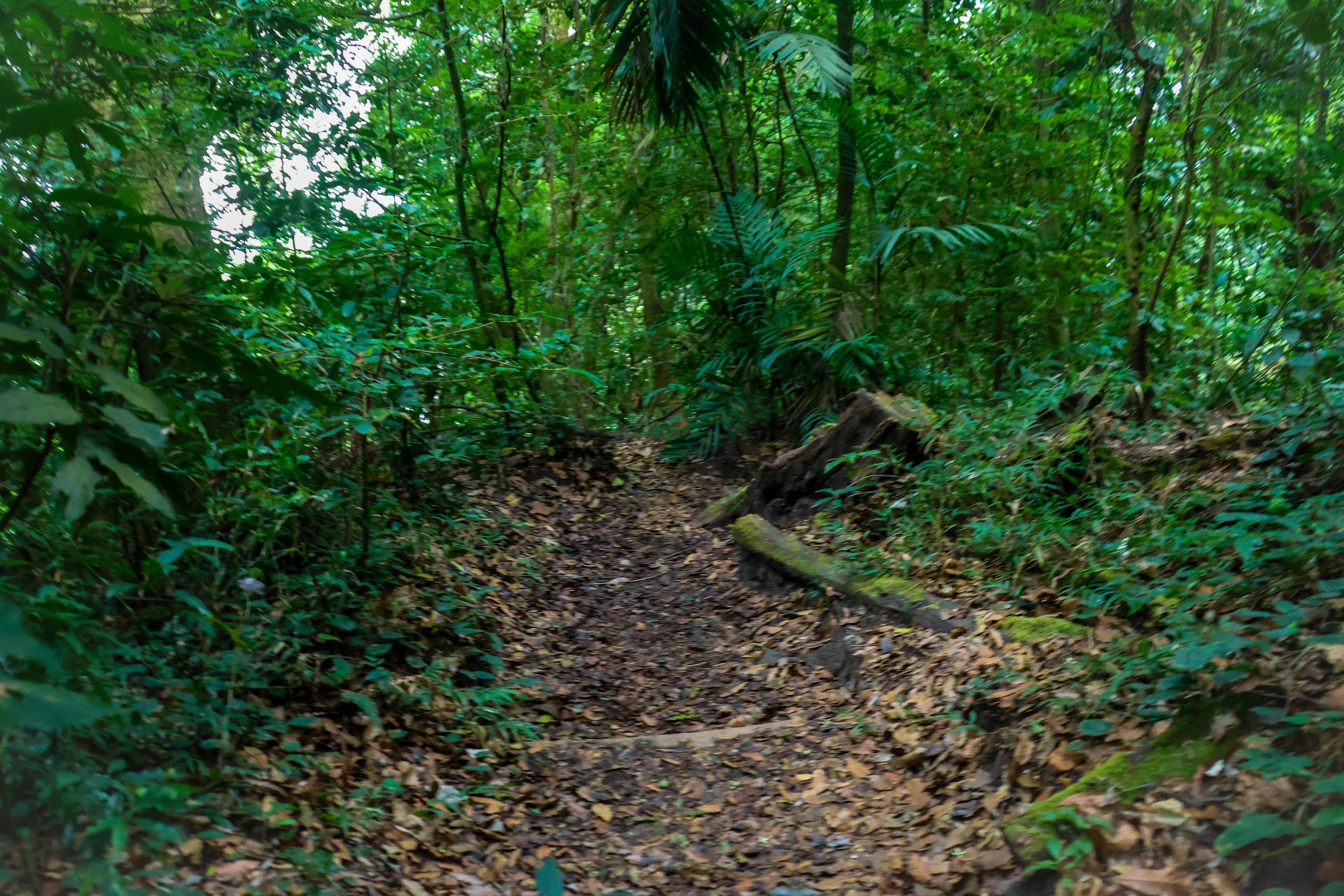 Photo by traveleroohlala