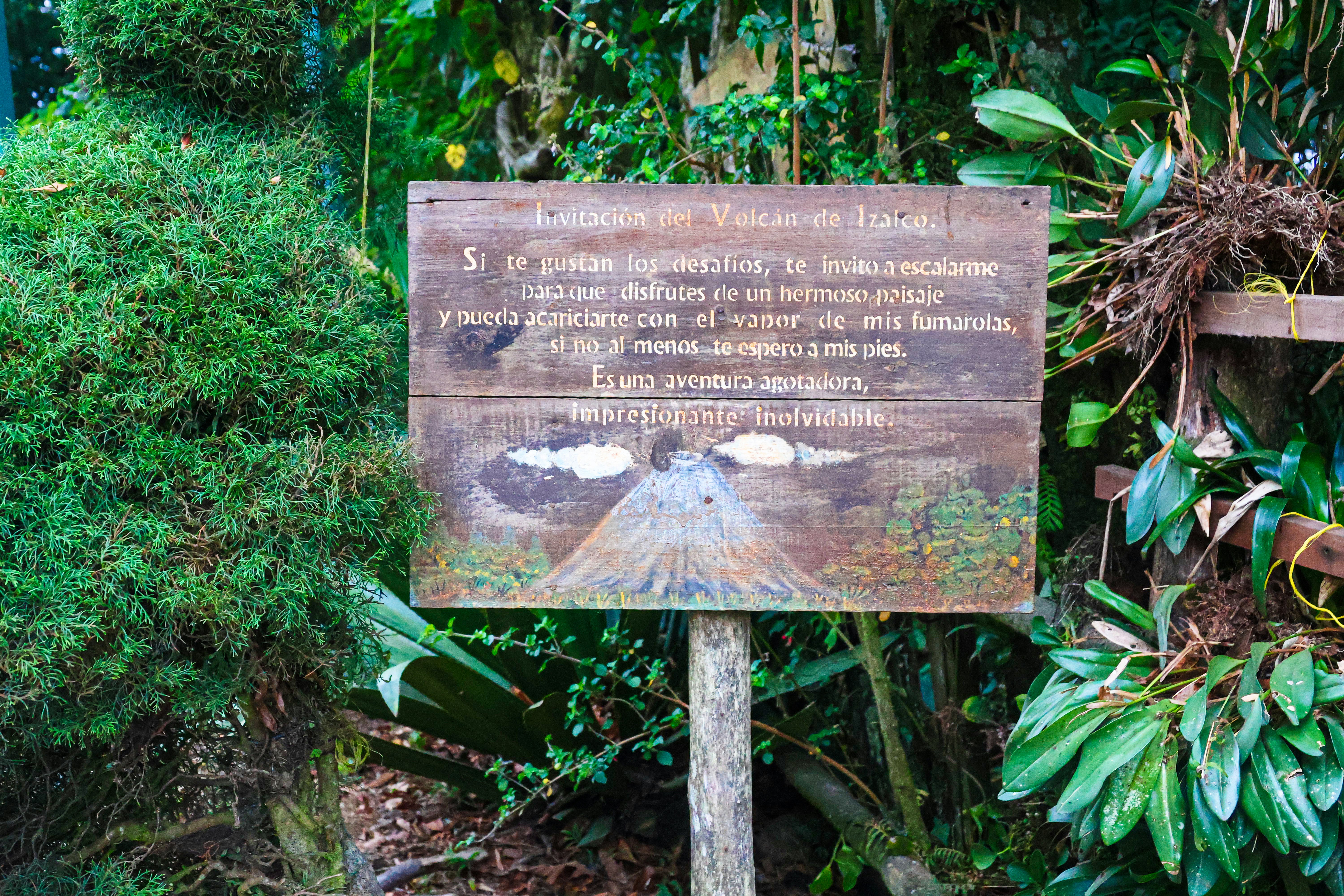 Sign near lush foliage displaying a volcano illustration.
