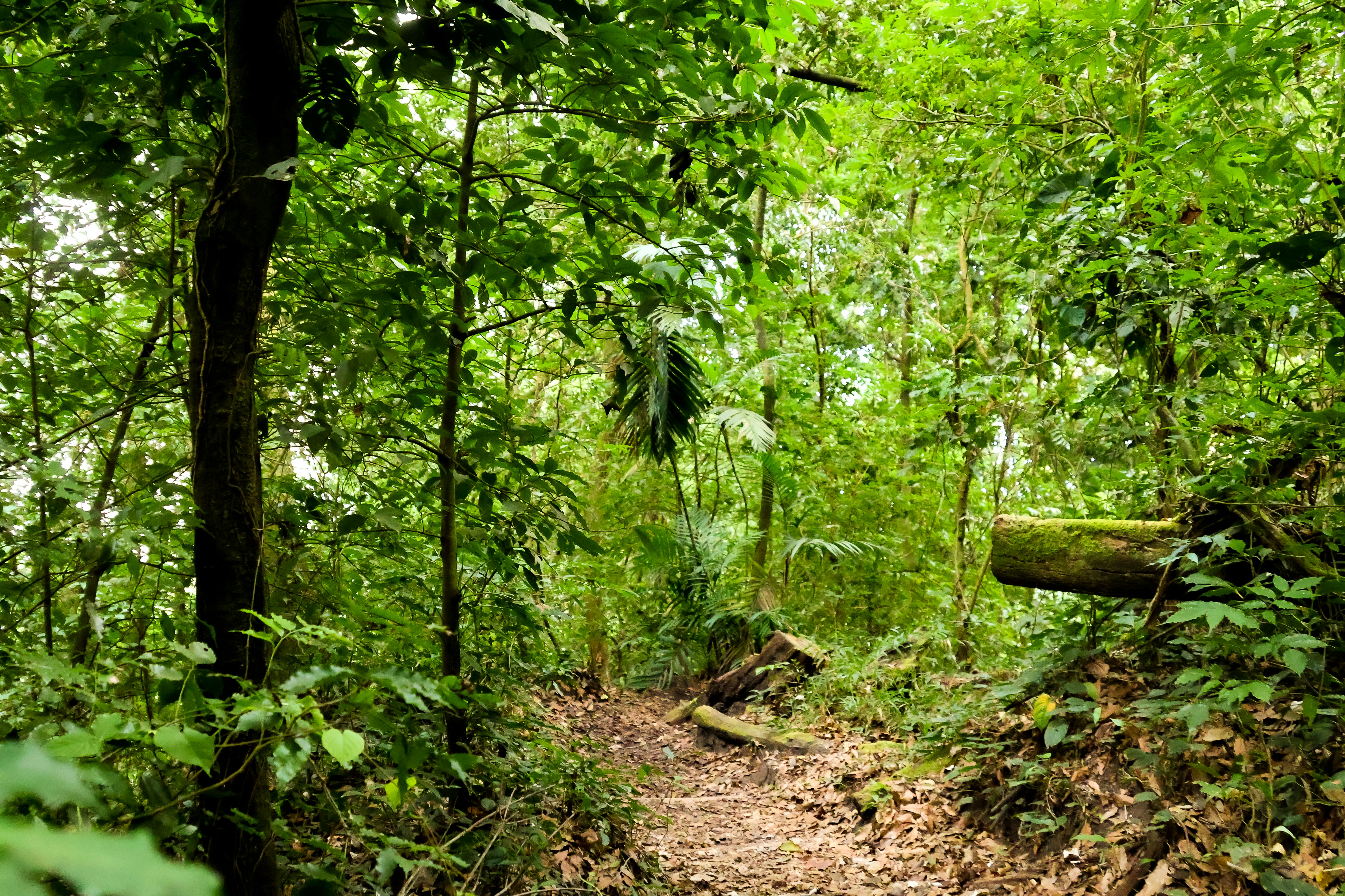 Photo by traveleroohlala