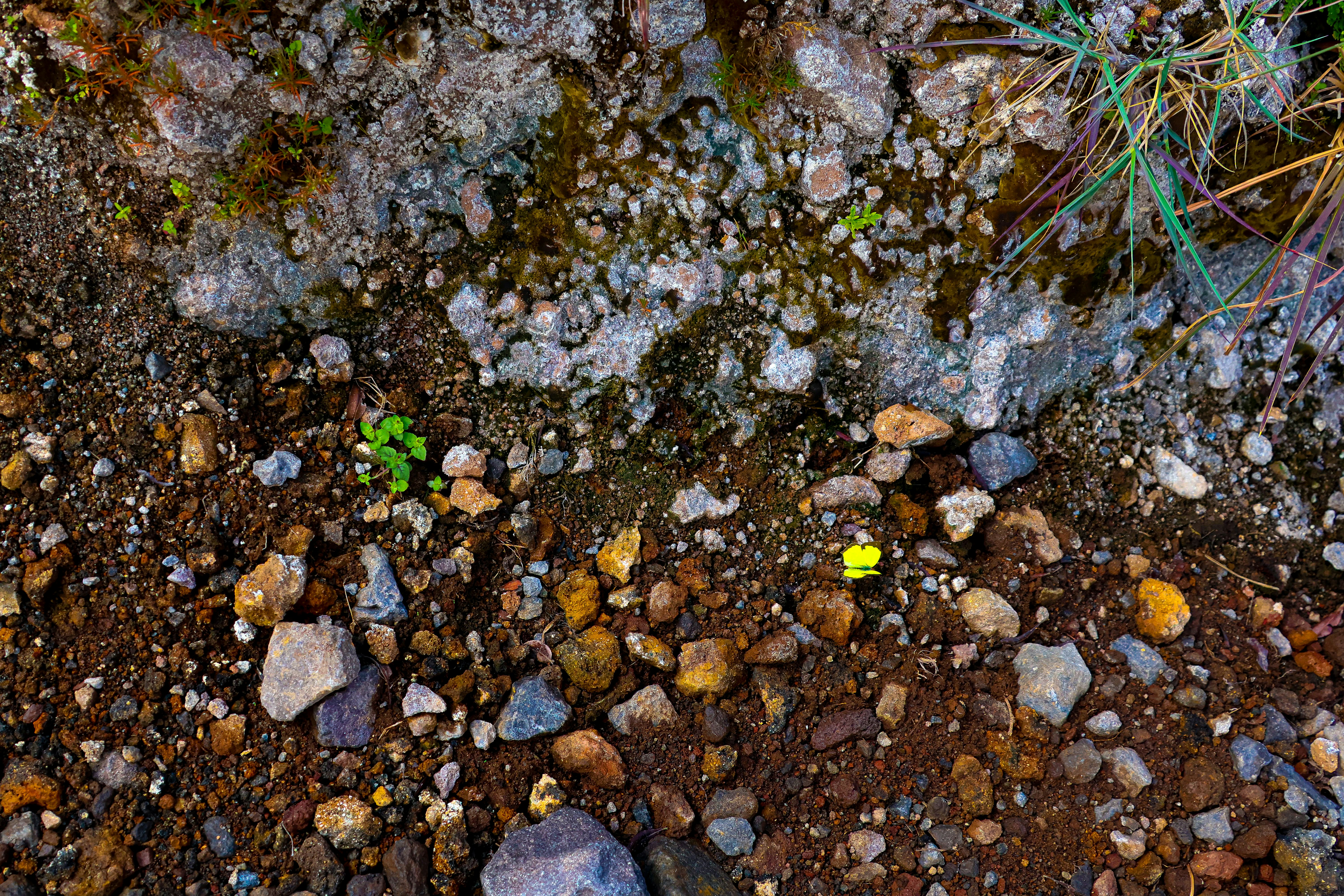 Photo by traveleroohlala