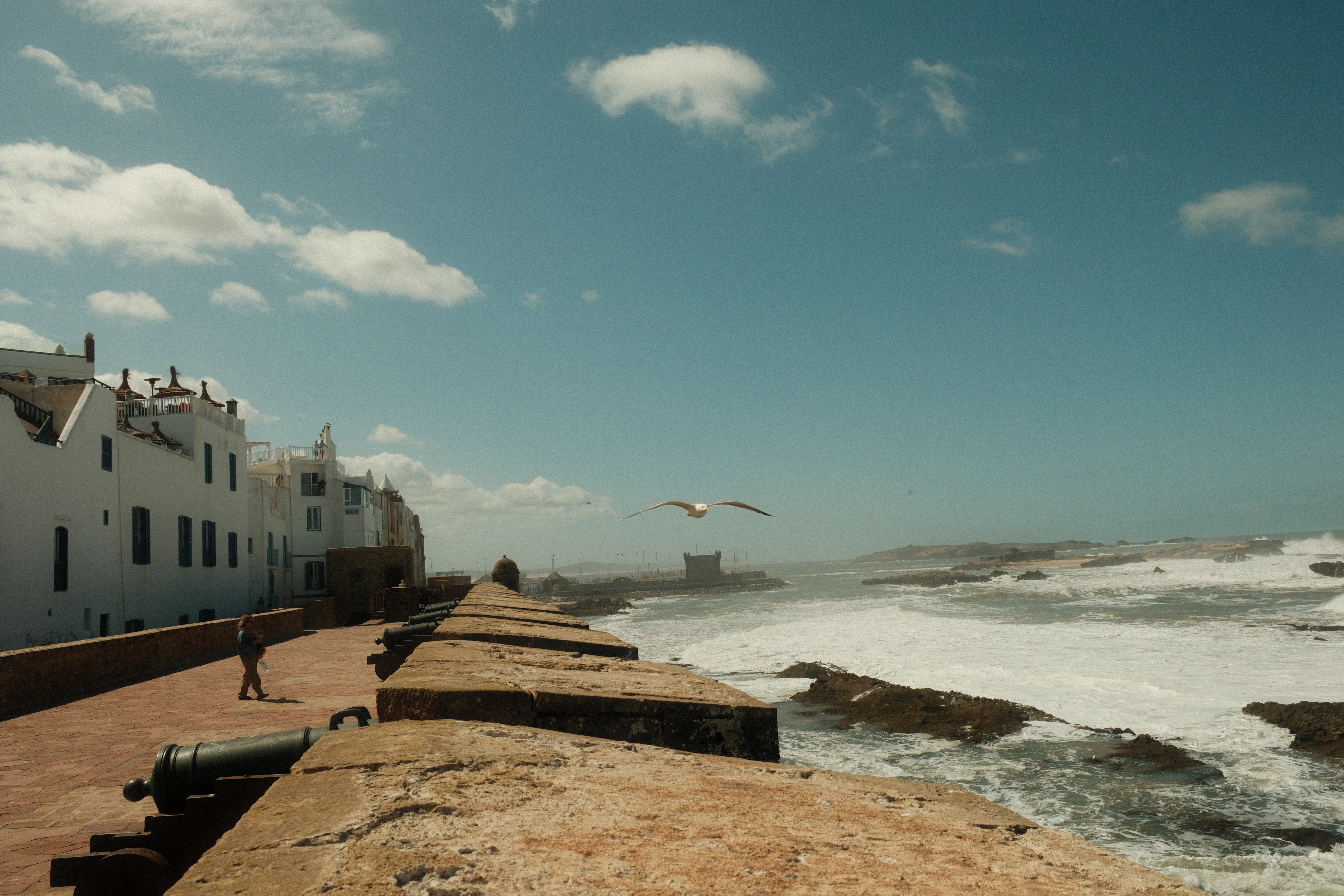 Waves crash against Essaouira's stone ramparts near an old cannon as a gull flies over.