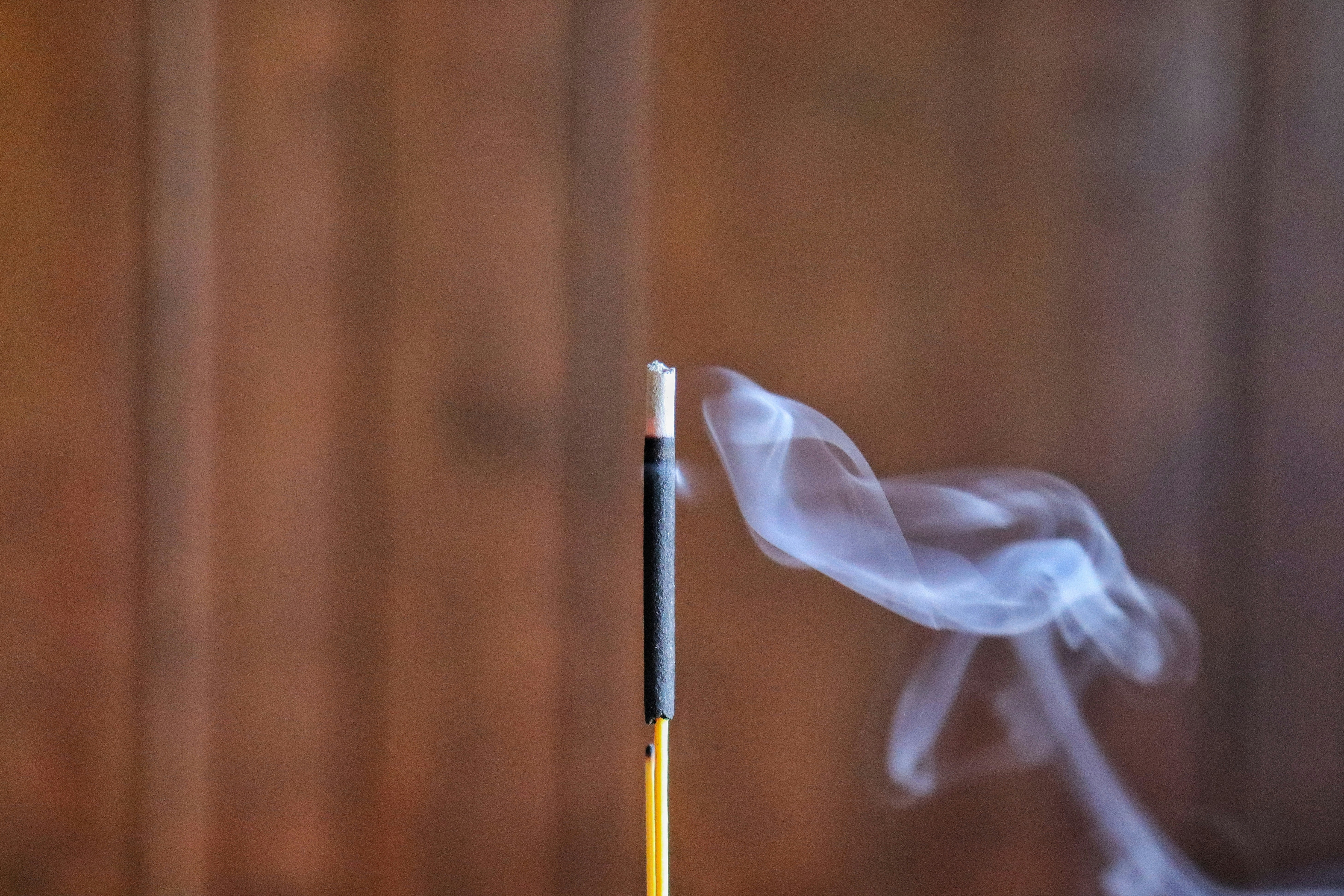 Photo by caio_delarolle