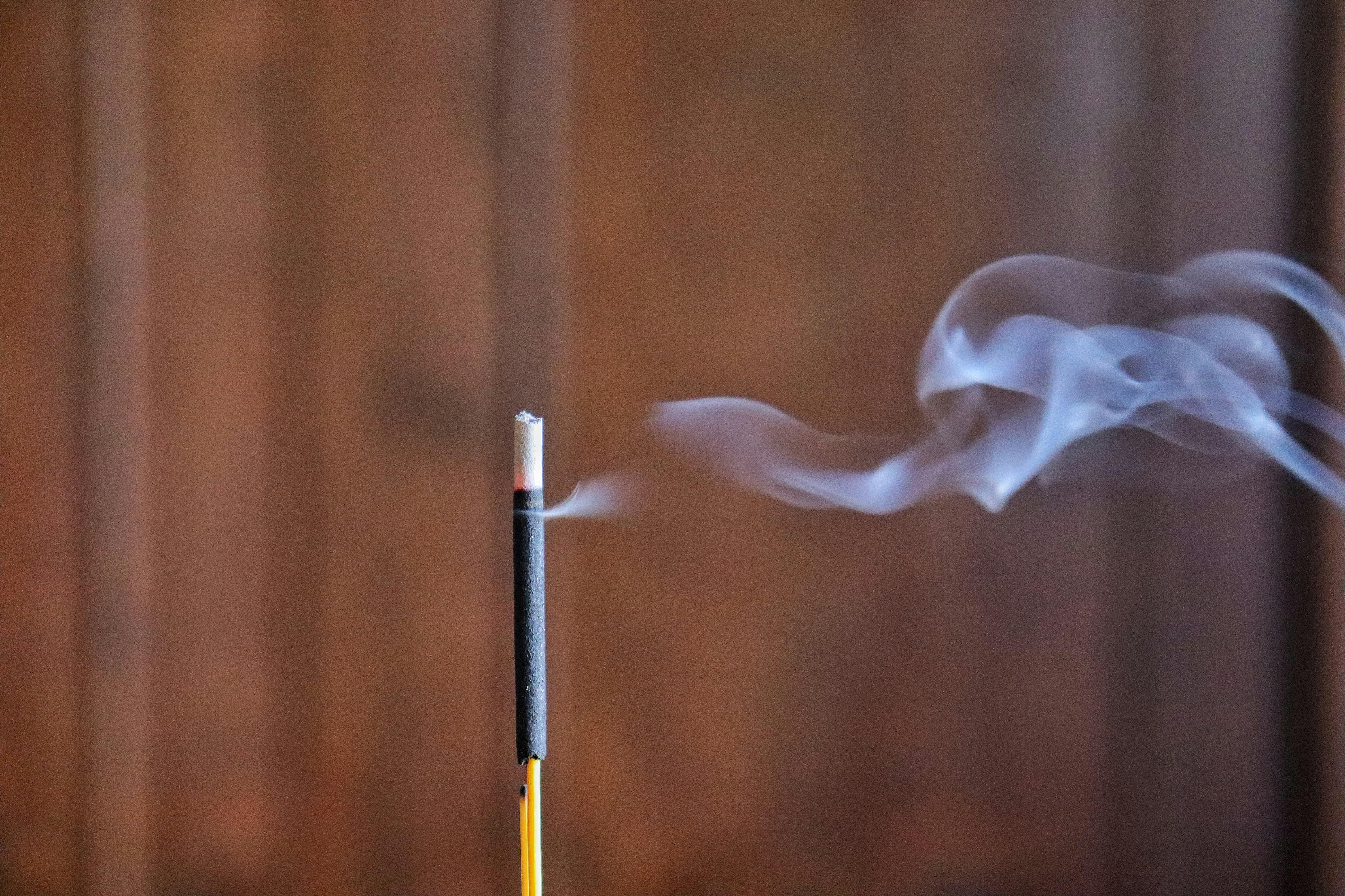 Photo by caio_delarolle