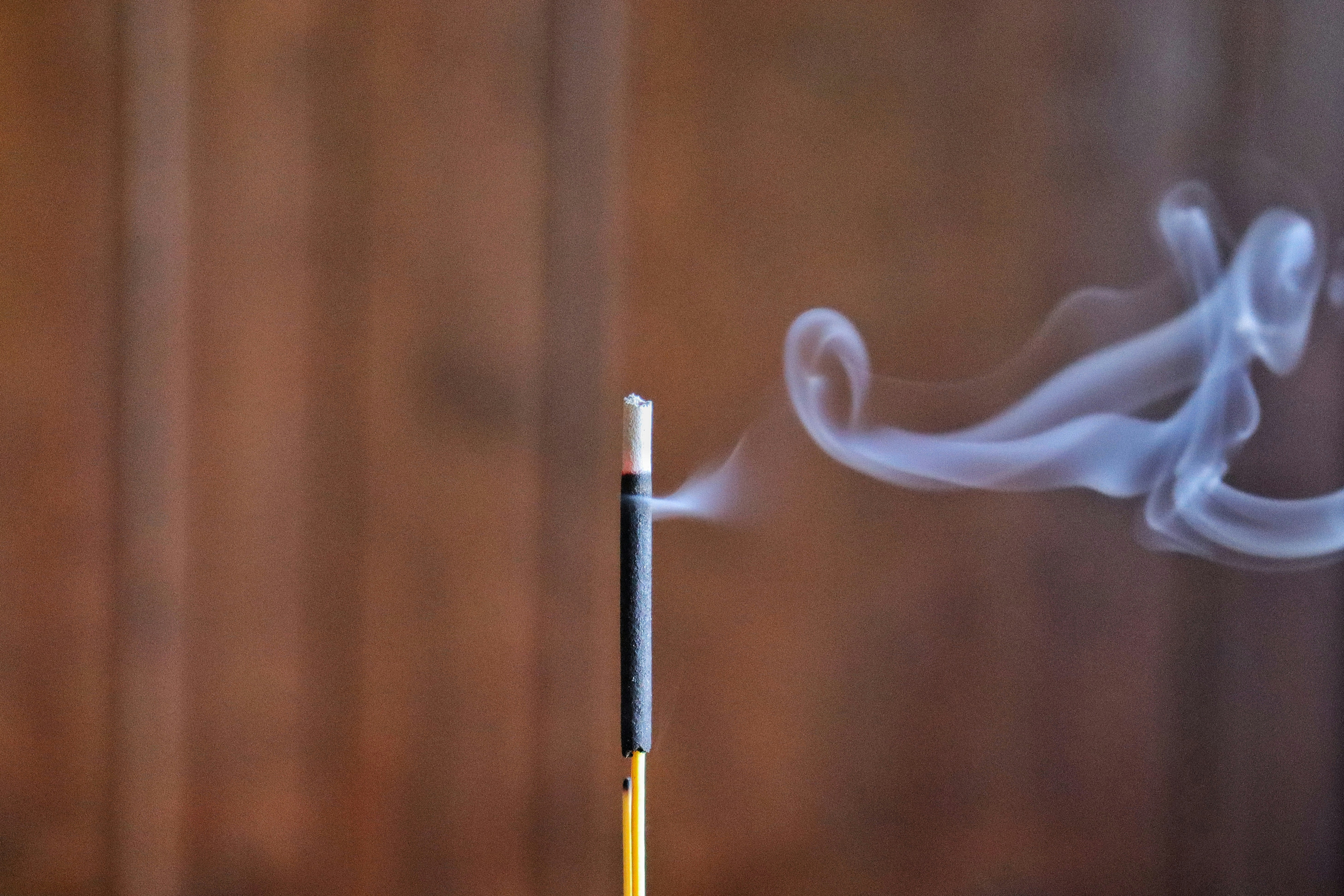 Photo by caio_delarolle