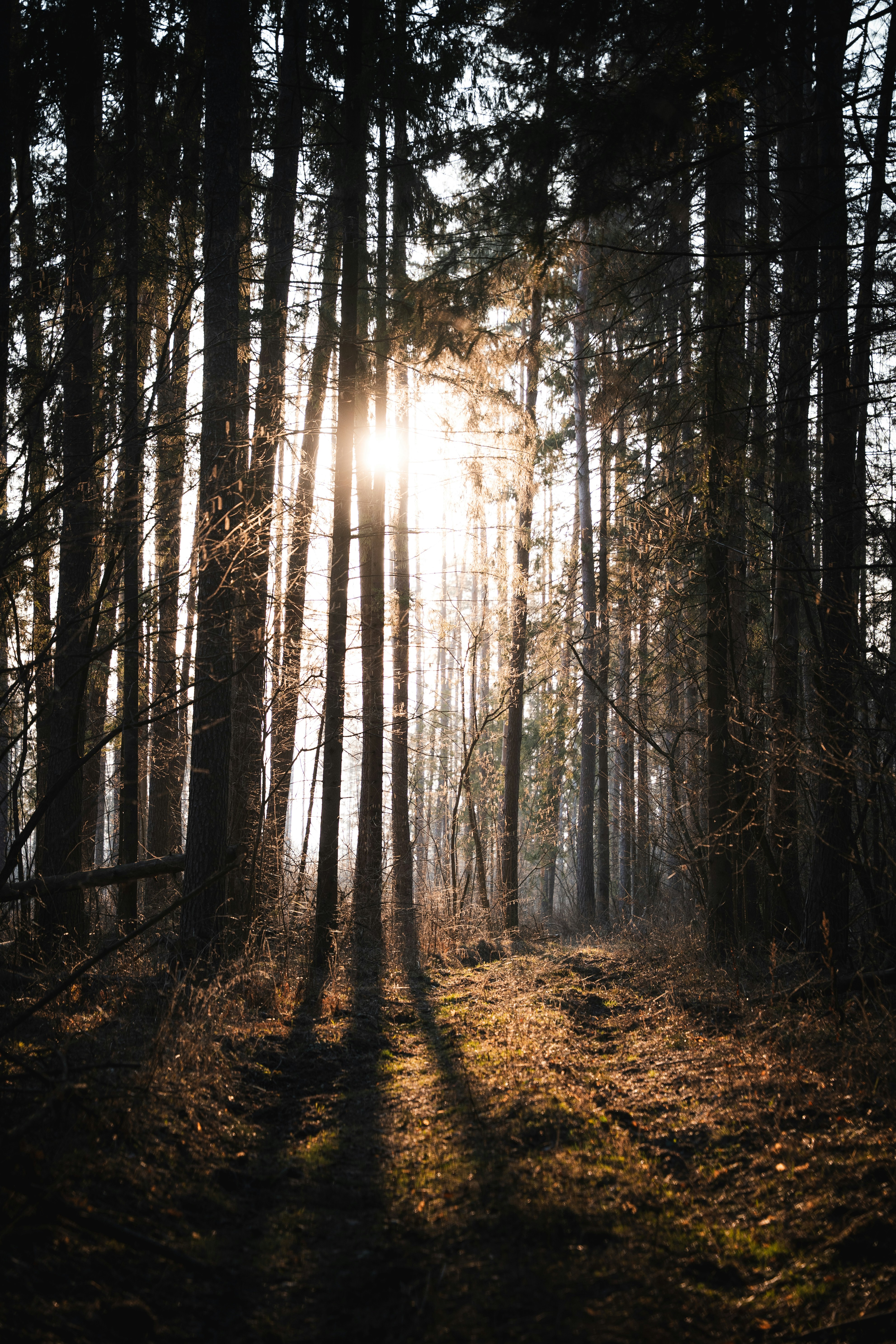 Photo by auchynnikau